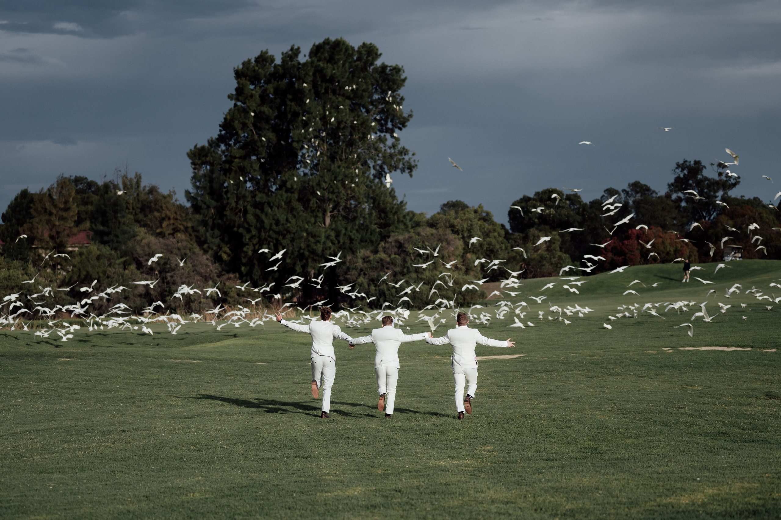 The Vines Resort: A Dream Wedding Venue in the Swan Valley. Arts in Motion | Wedding Photographer — Videographer in Perth, Western Australia