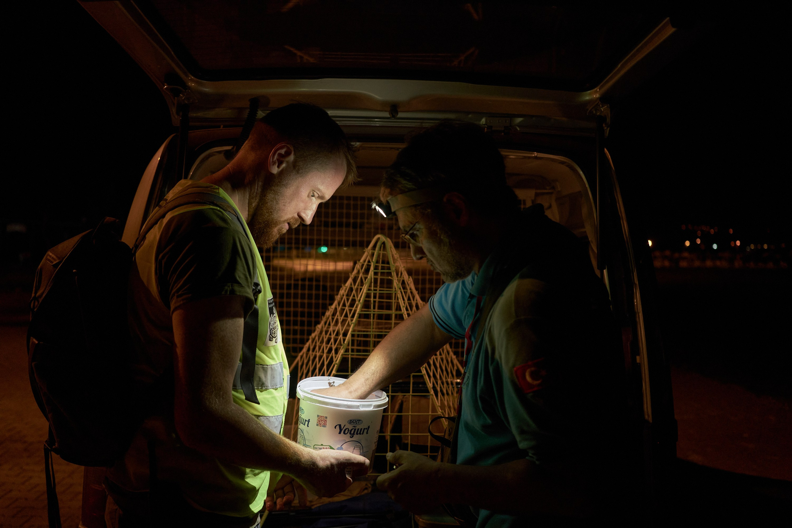 Caretta caretta | Anastasiia Nelen photographer