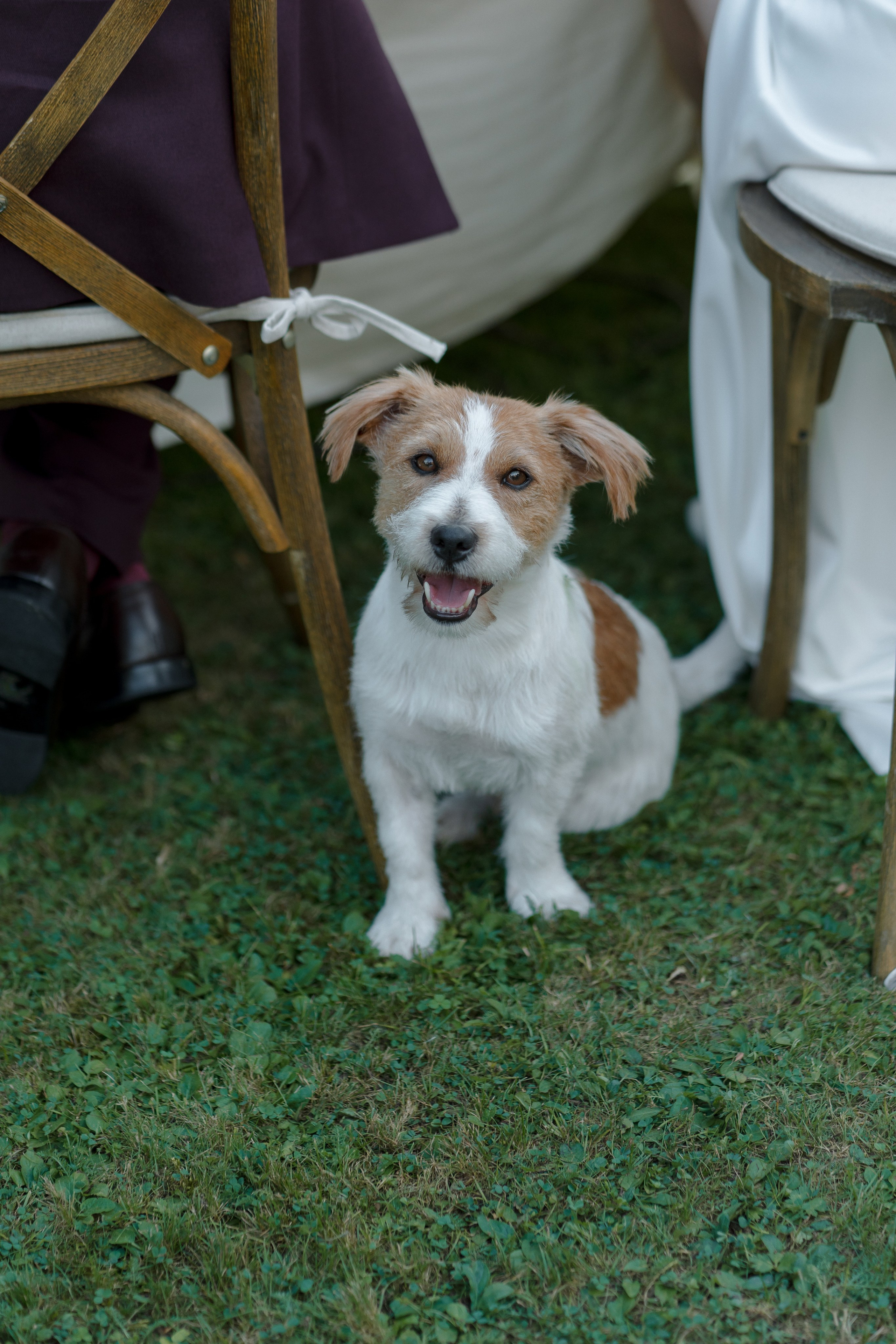 Elegant Outdoor Wedding at Palais Kneissl | RAW Studio Photography. Raw Studio: Capturing Elegant weddings accross Europe