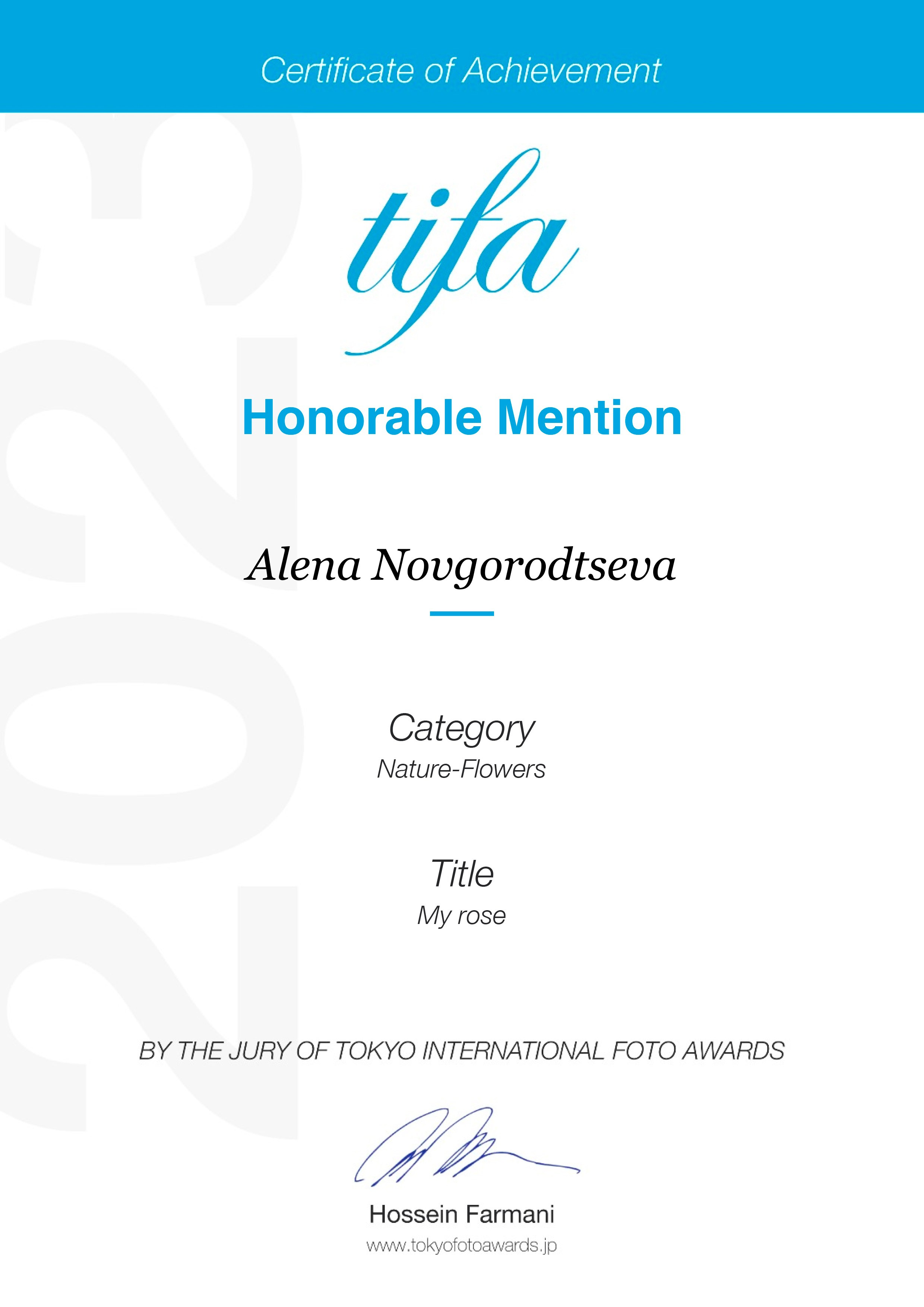 Biography of the photographer Alena Novgorodtseva. Portrait photographer Alena Novgorodtseva
