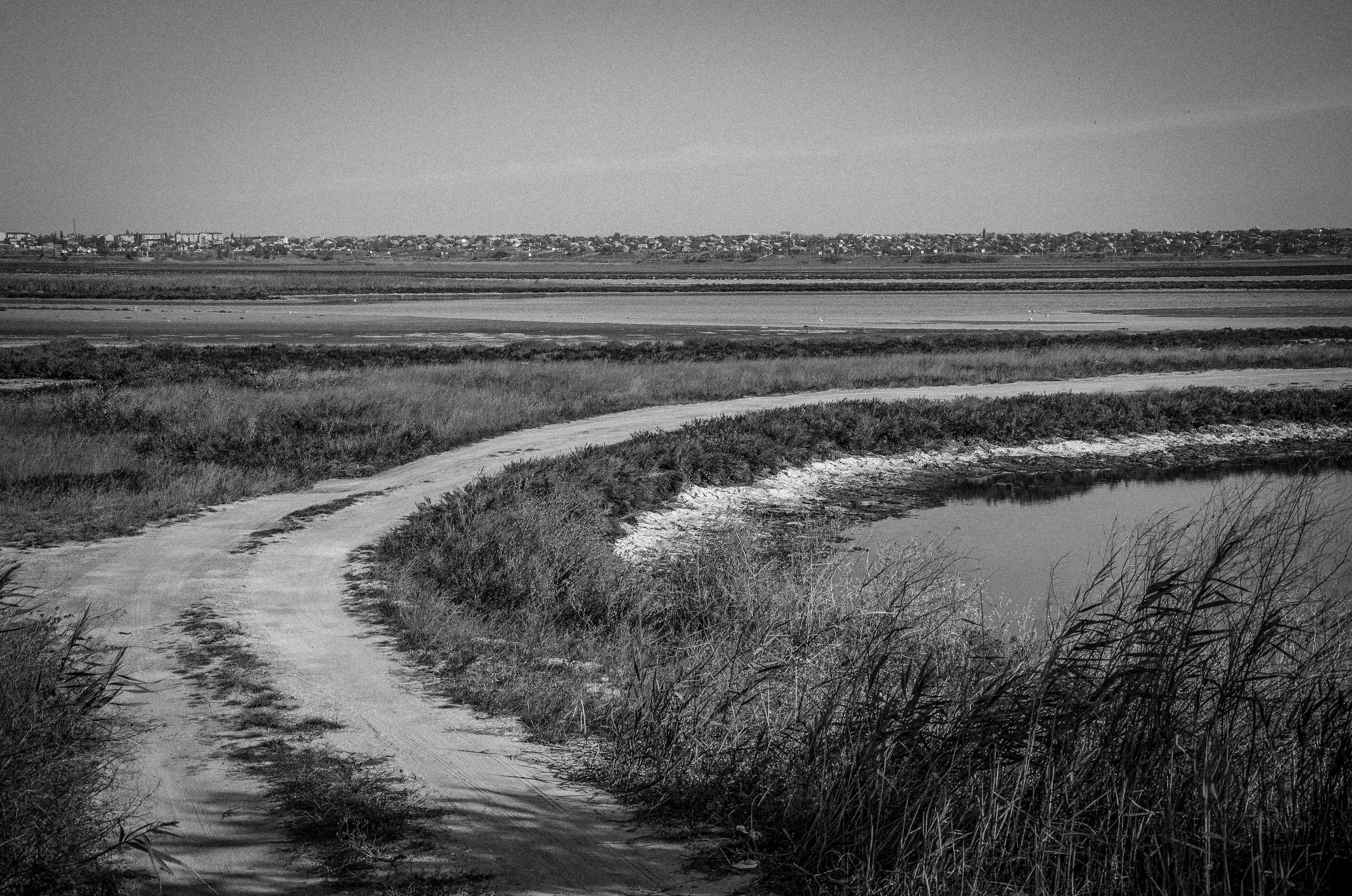 More More. Katerina Kiper Photography