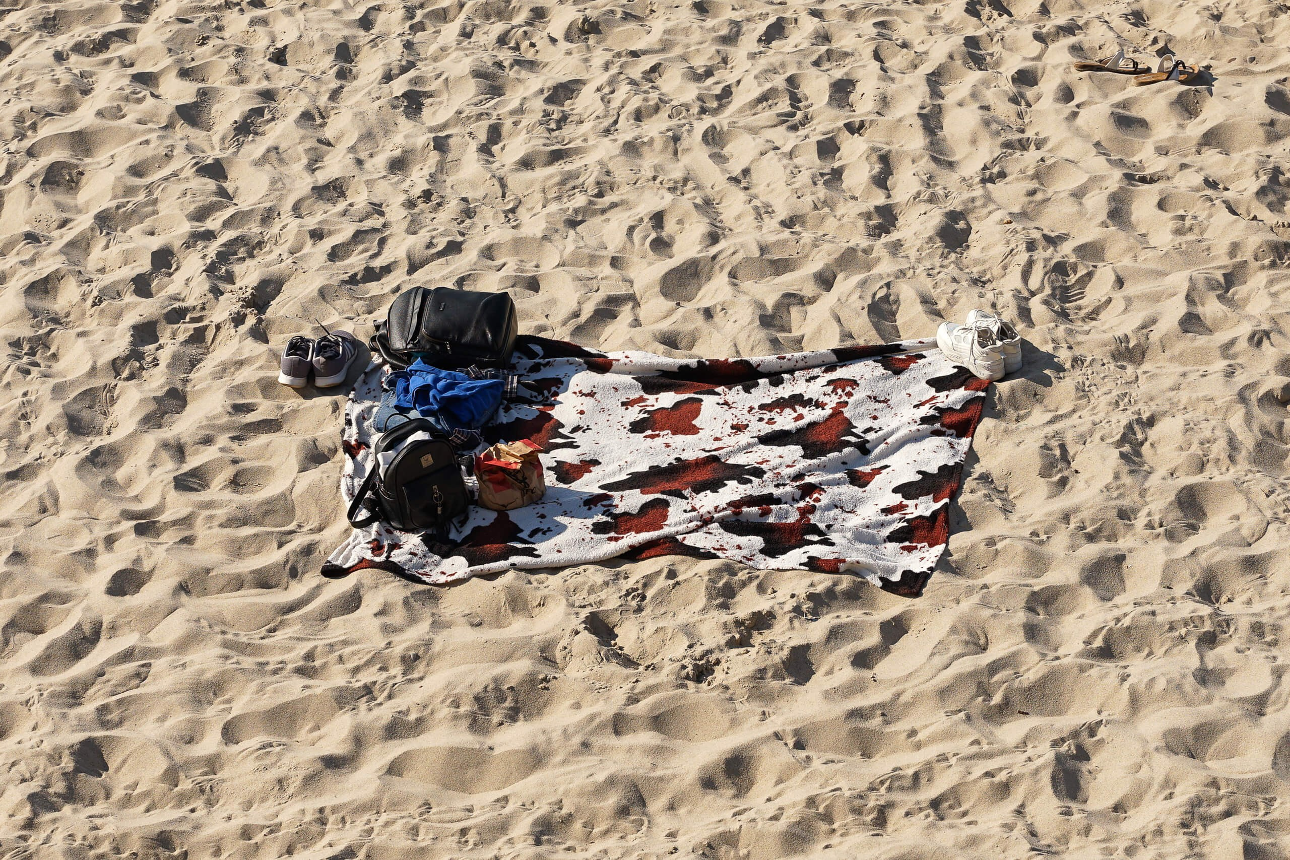 Daydreamers. Документальный фотограф, преподаватель в Берлине Андрей Словолитов