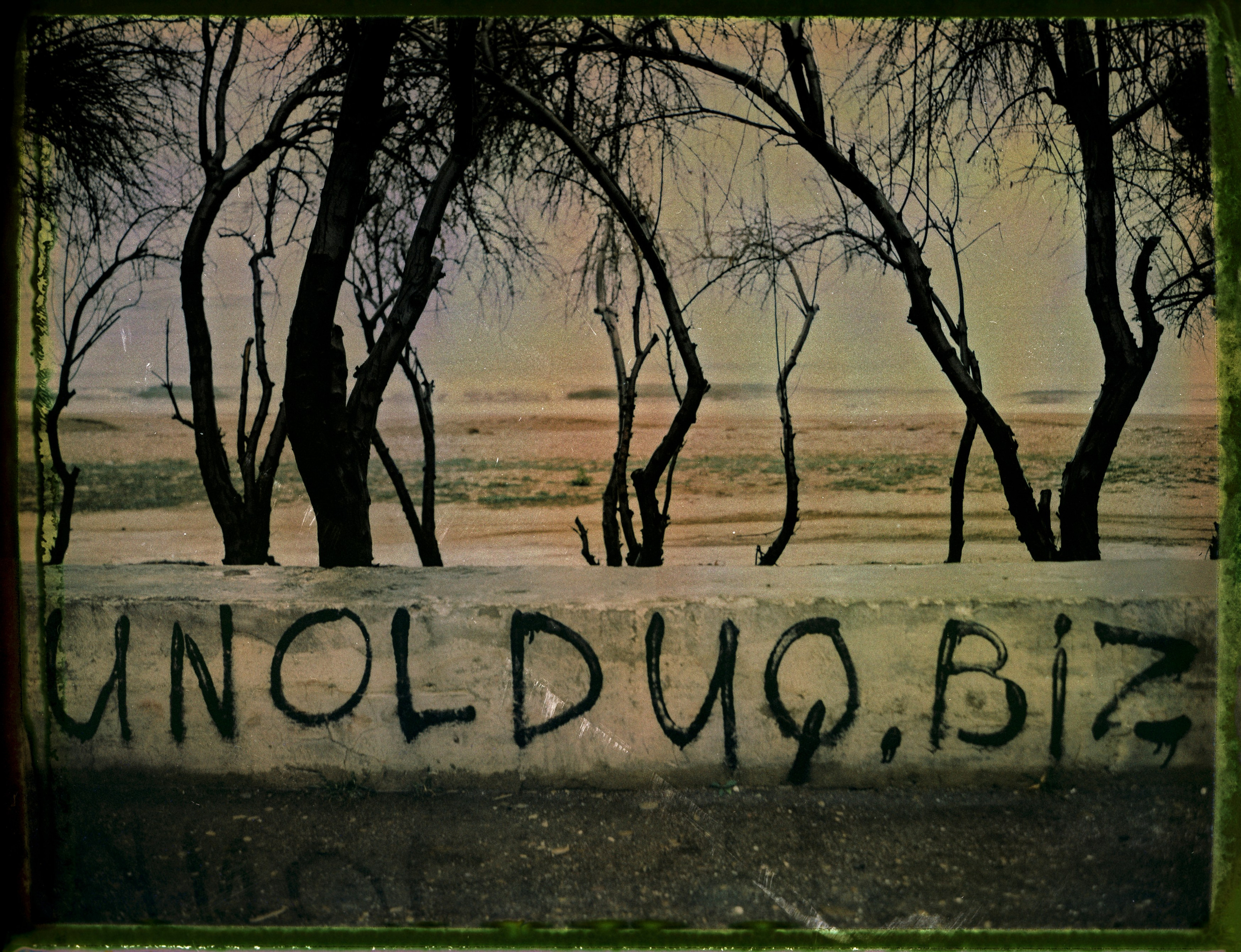 POLAROID. Www.sananaleskerov.com