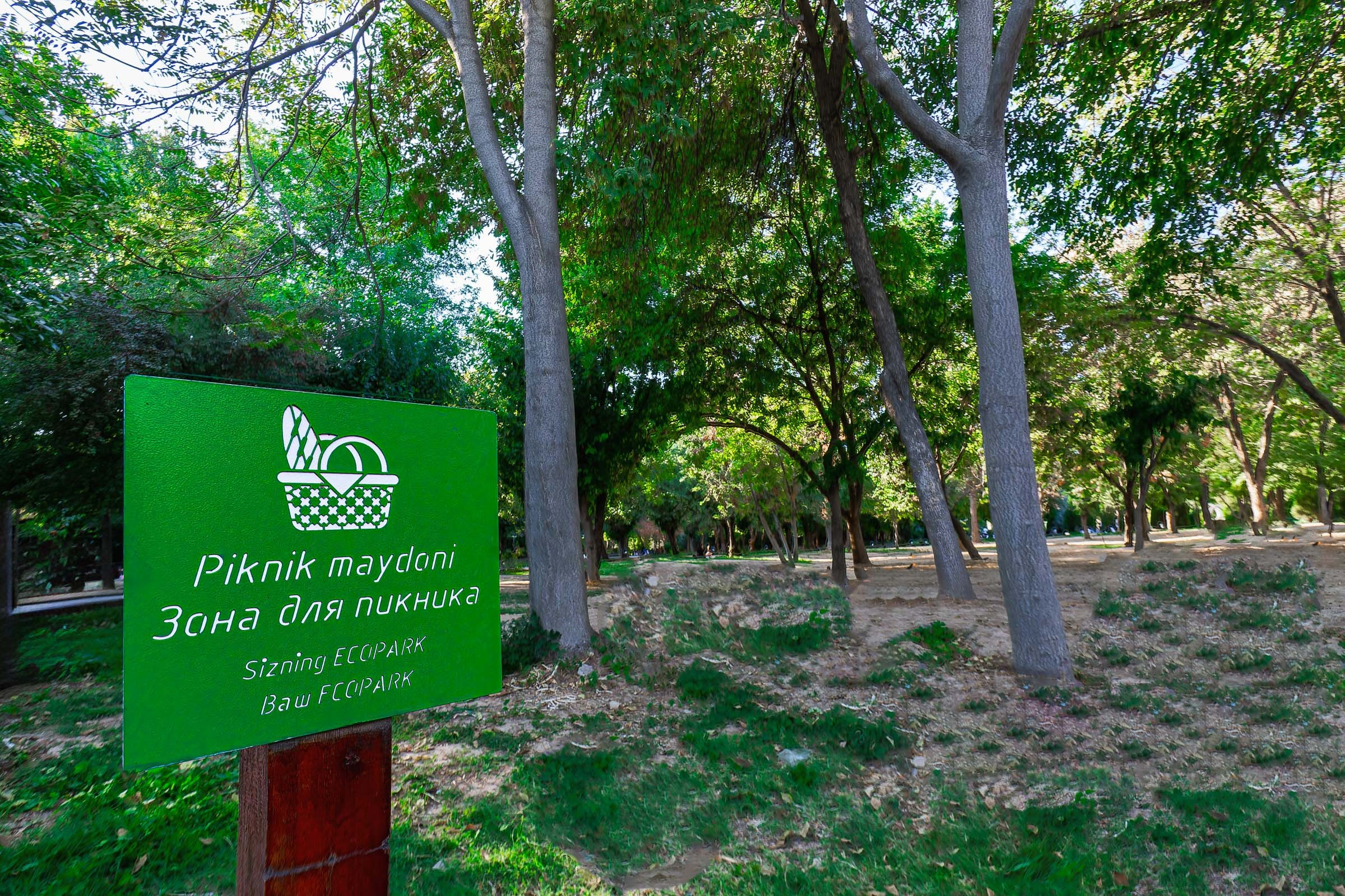 Посуточная аренда апартаментов в Ташкенте — комфорт удобство. Аренда апартаментов Ташкент Узбекистан