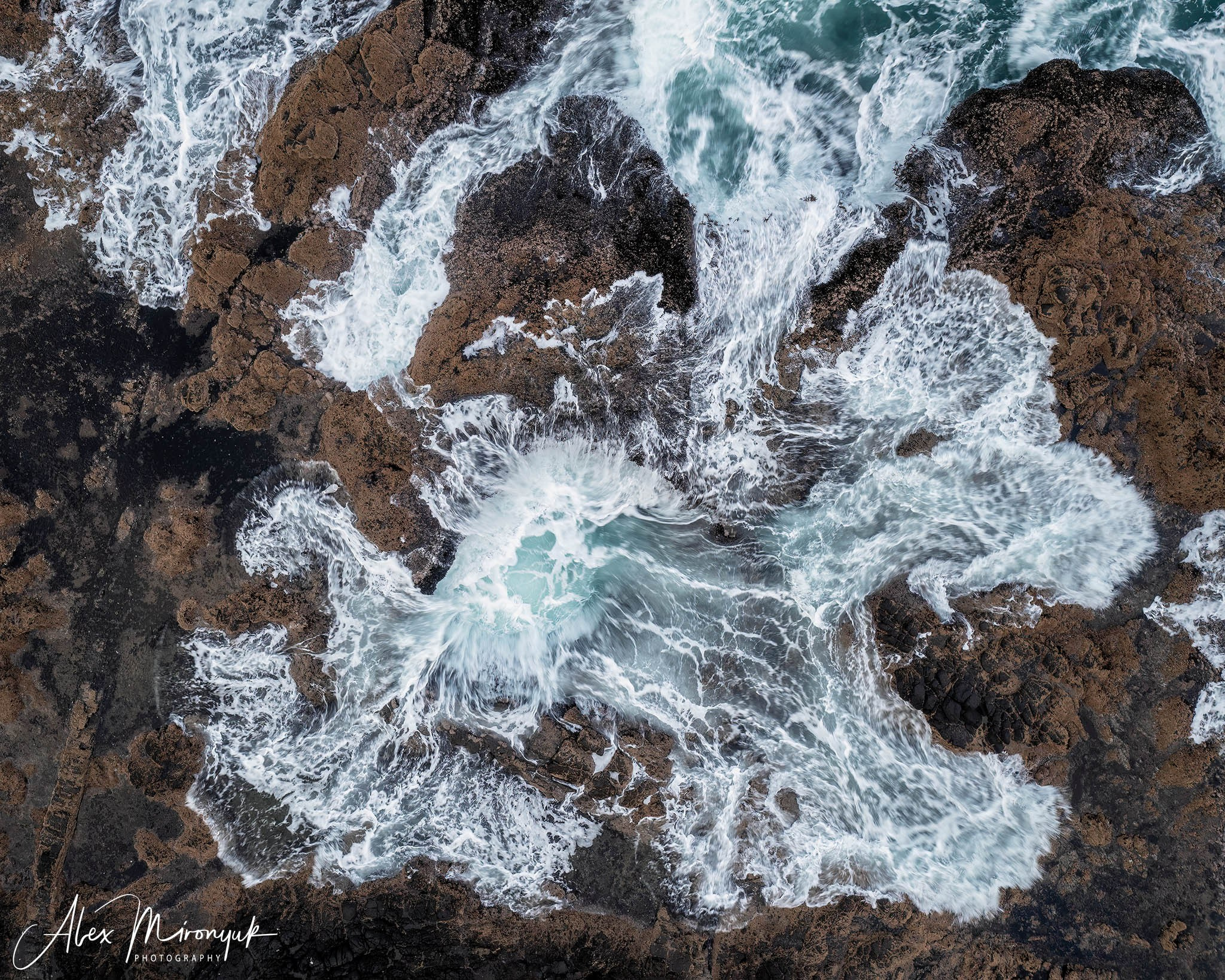 Oregon Coast Photo Workshop. Pet, Senior, Landscape, portrait studio, photographer in Miami and Sou