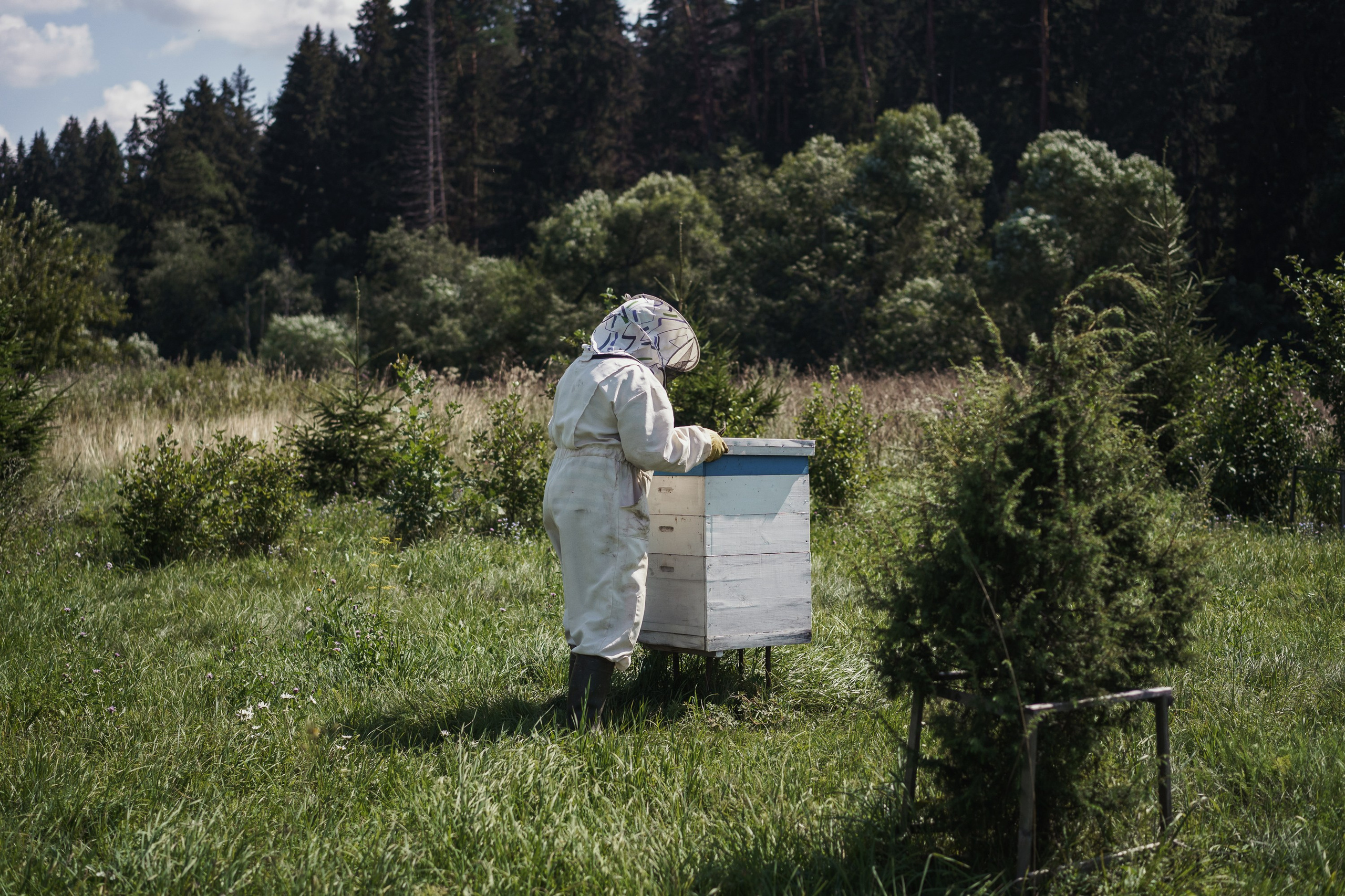 Visual story of a beekeeper