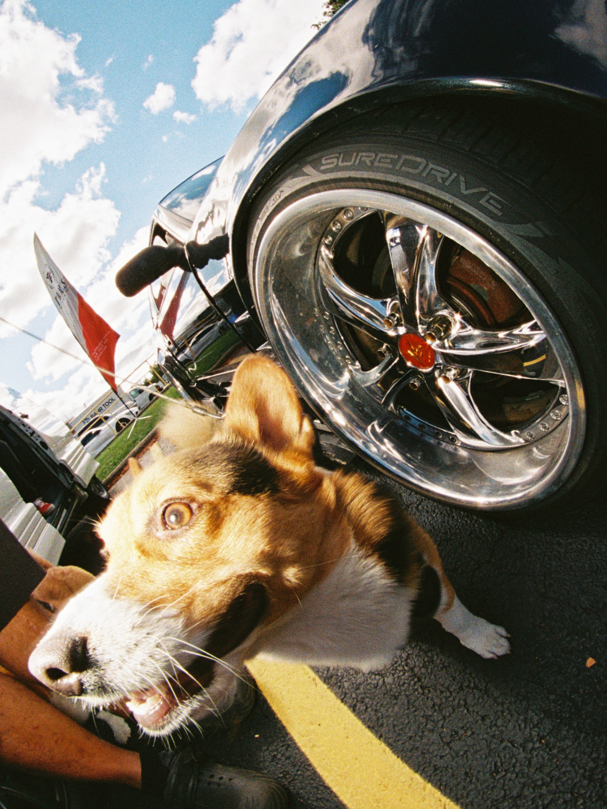 TF Works — 2025 End of Season Meet. 35mm Photography by Brad Zgonena based in Chicago, IL