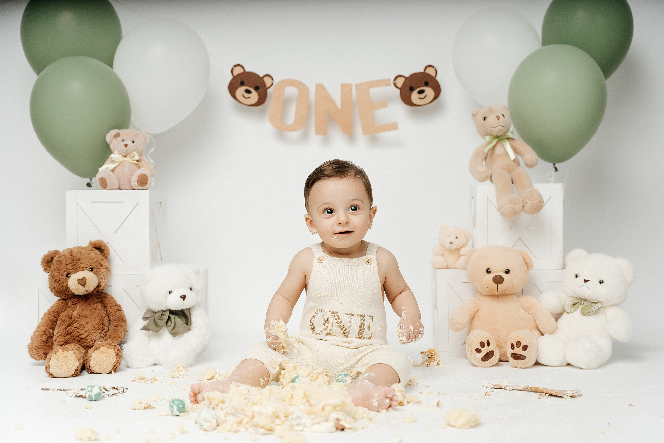 Teddy Bear One Year Cake Smash Photos. Newborn and family photographer. Hills District. Sydney