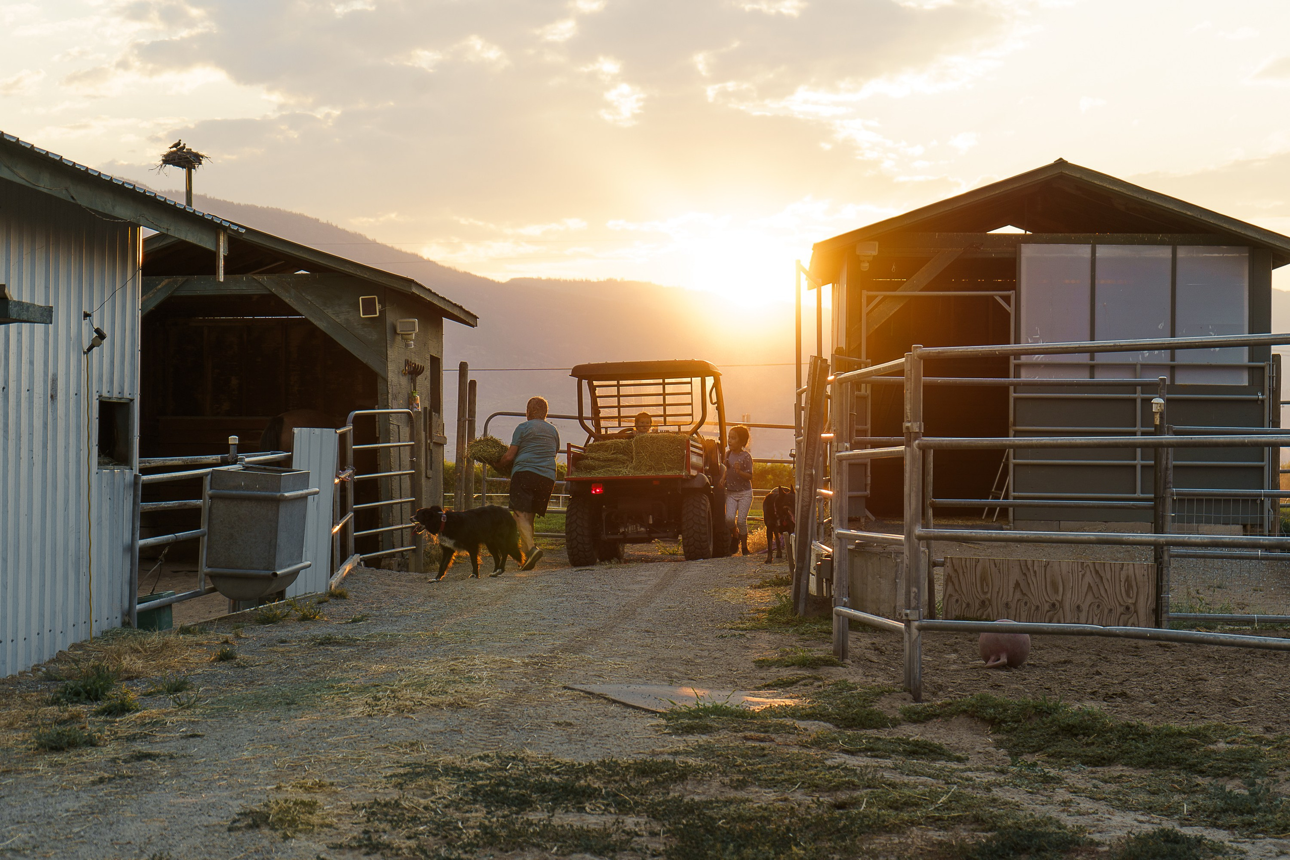 Classic portraits and lifestyleshots, magic moment during a session