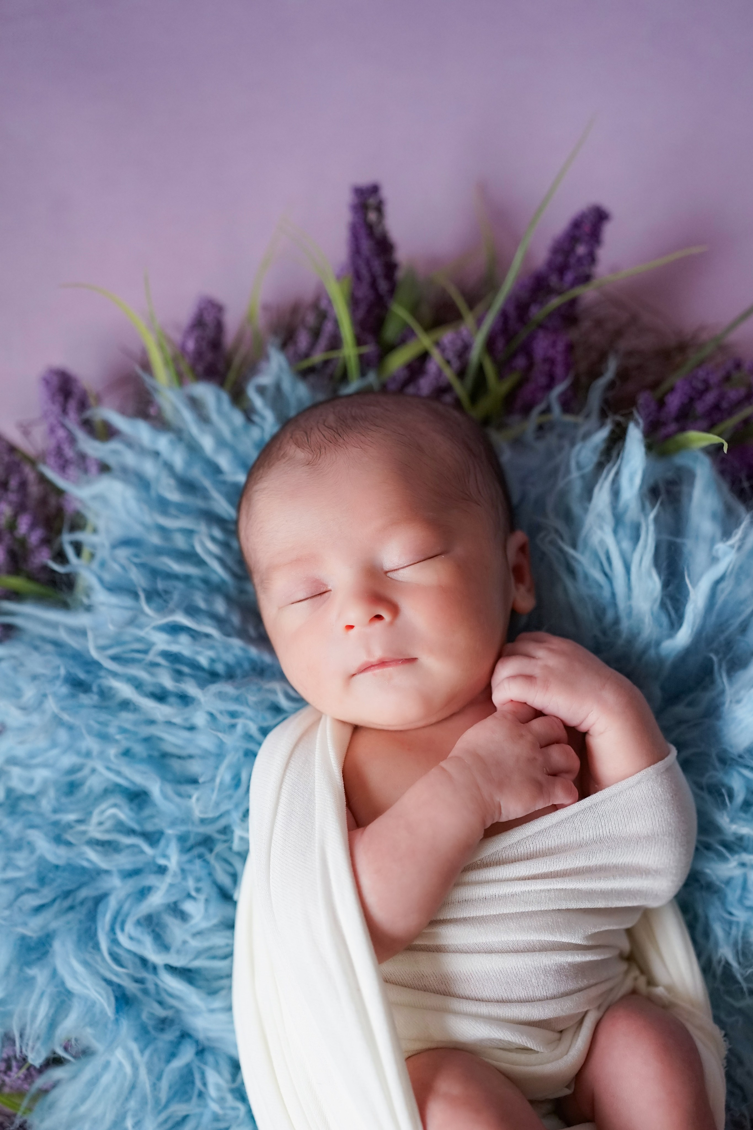 Posed Newborn. Maternity, family and newborn photography in San Francisco Bay Area