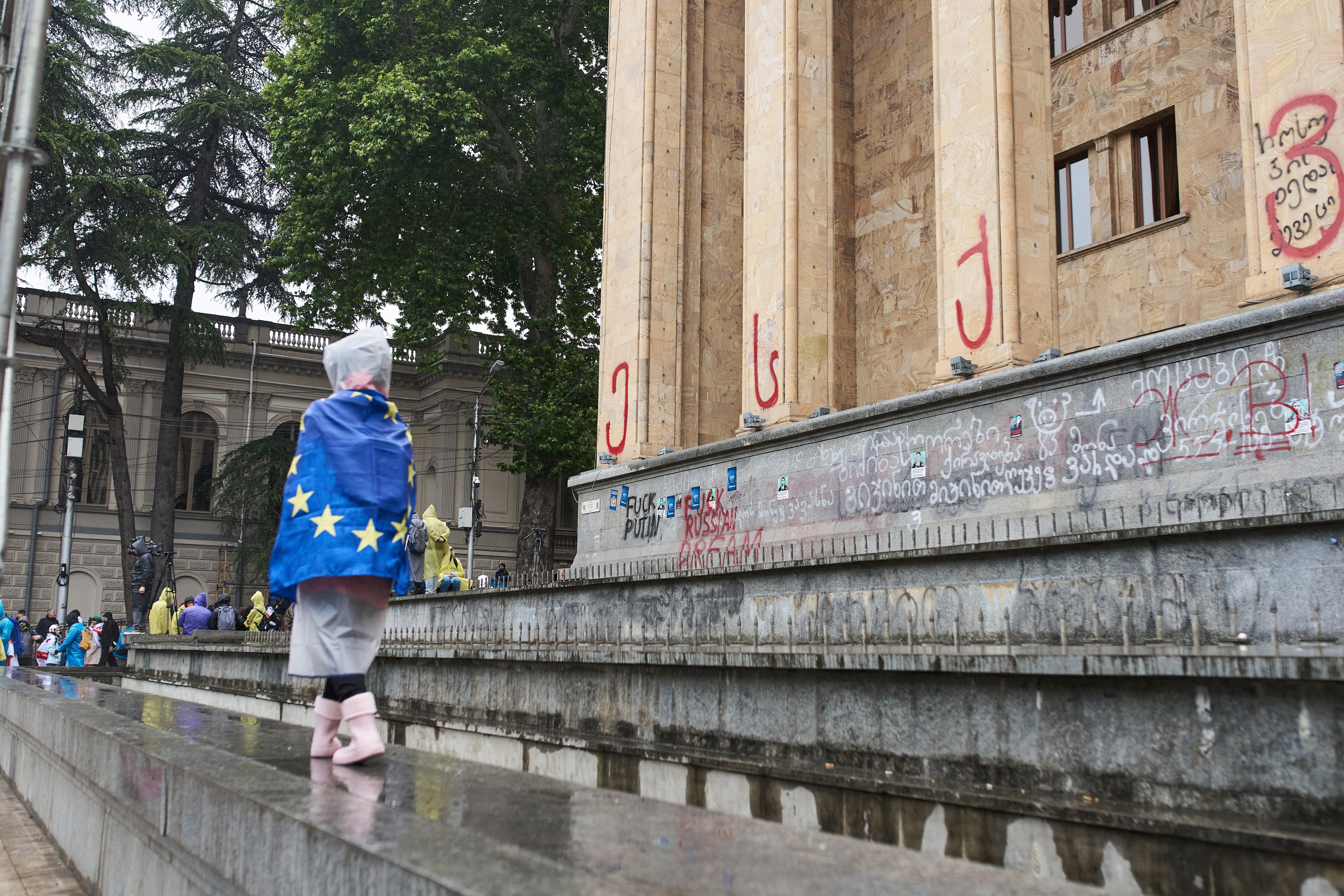 Georgia against «foreign law»/ არა რუსულ კანონს. Visual artist