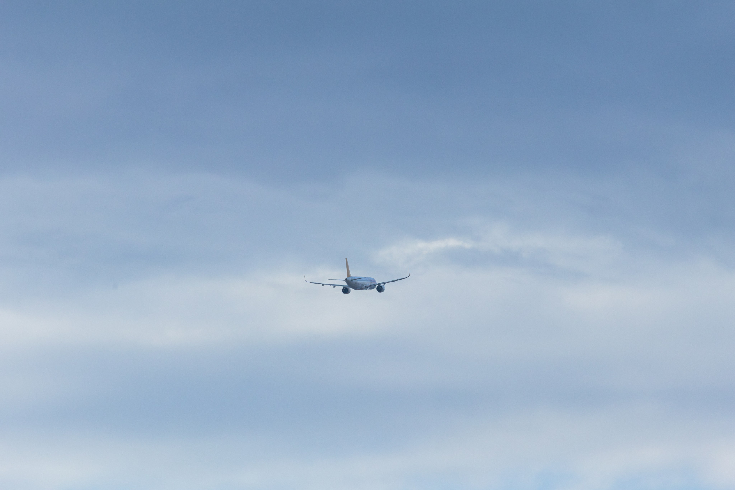 ფრთა ბუმბულისა და ფრთა რკინისა. FramefreeMan