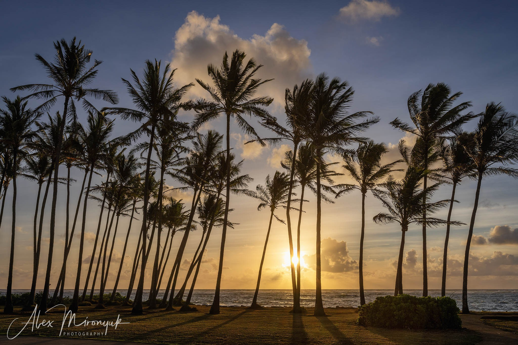 Kauai Photo Workshop