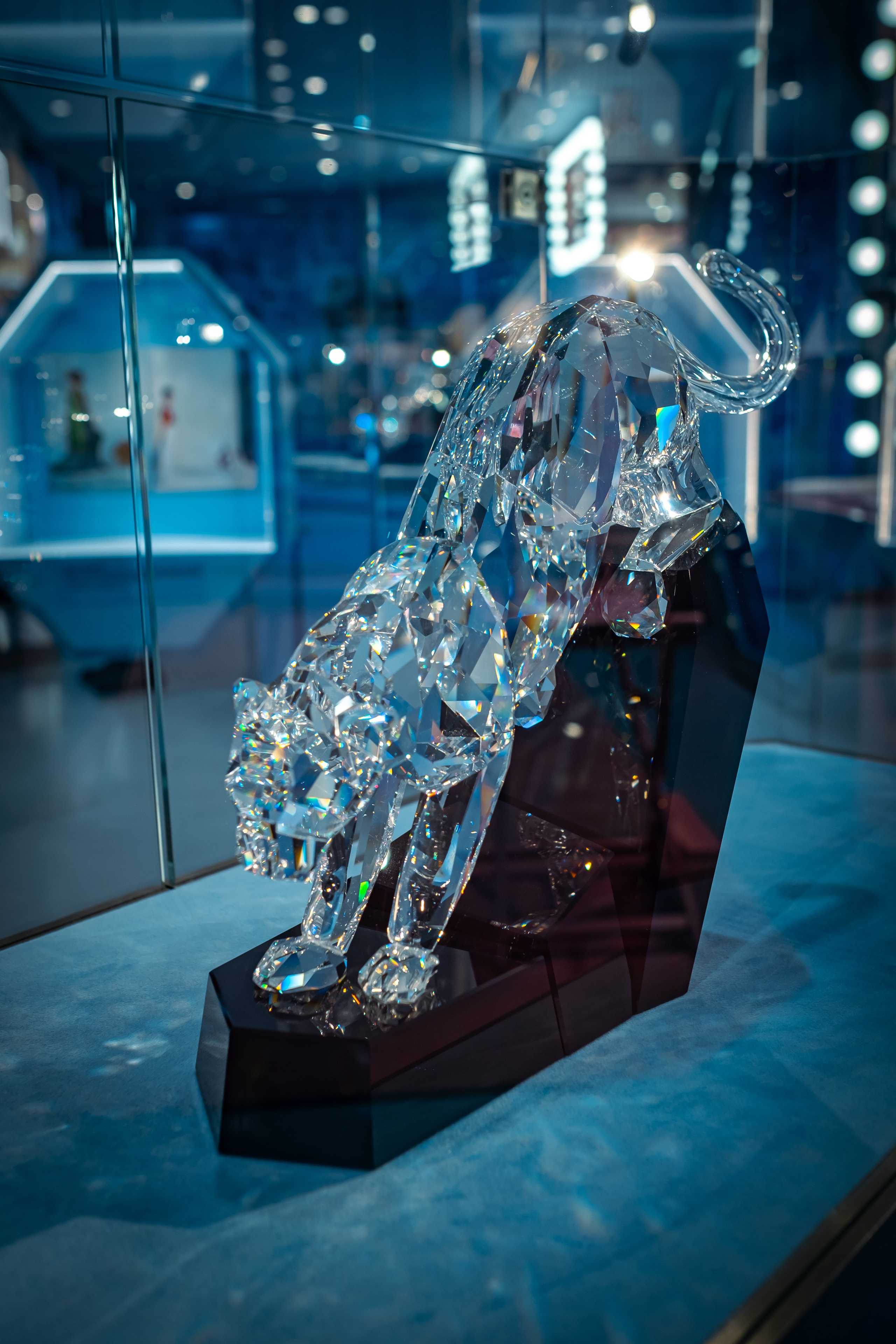 SWAROVSKI. Photographer in Seoul Dobrokvashina Natalya