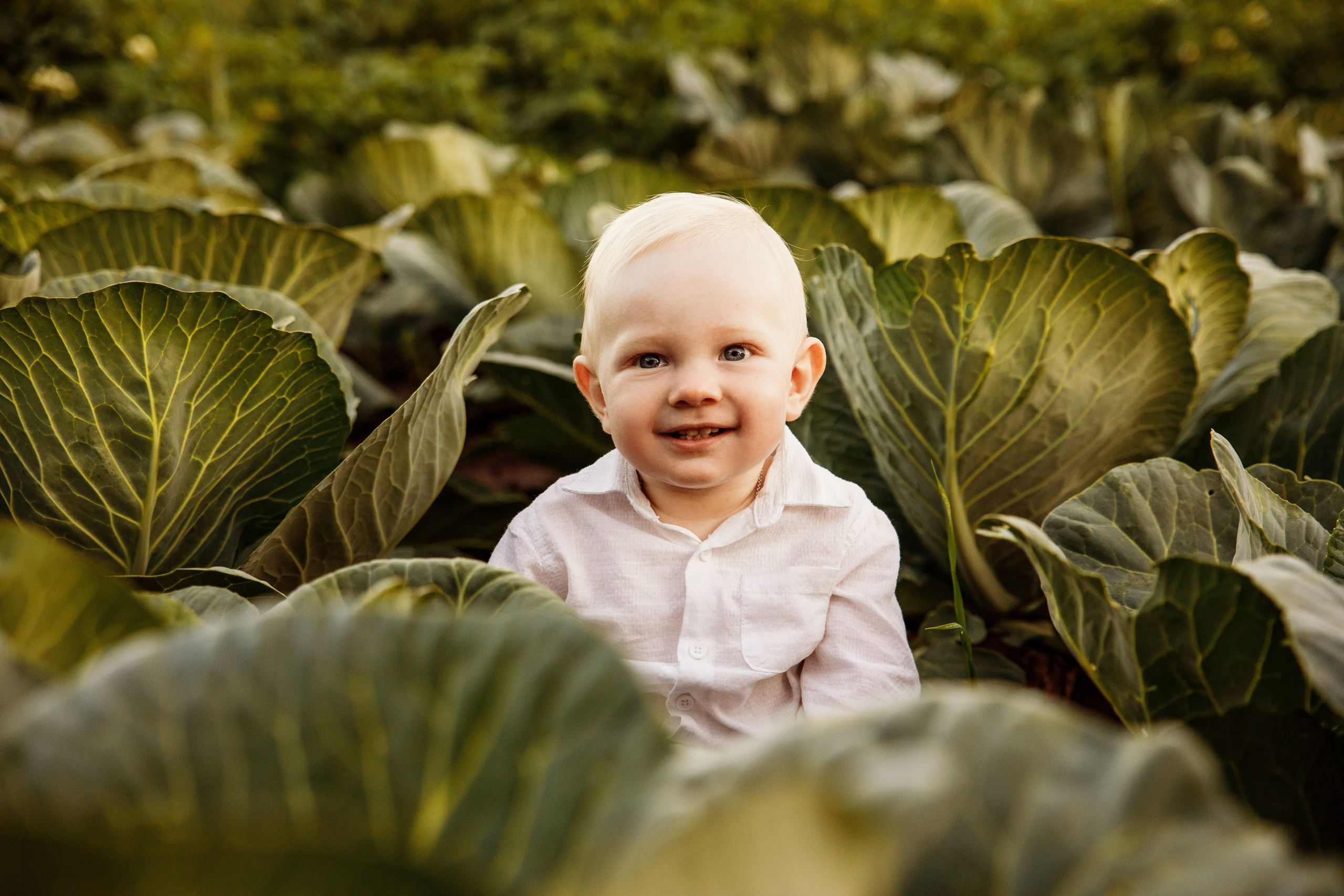 Outdoor First Birthday Photoshoot – Fun & Playful Moments. Alisa Tant — Family and newborn photographer Bucks County, Montgomery county, Philadelphia, NJ