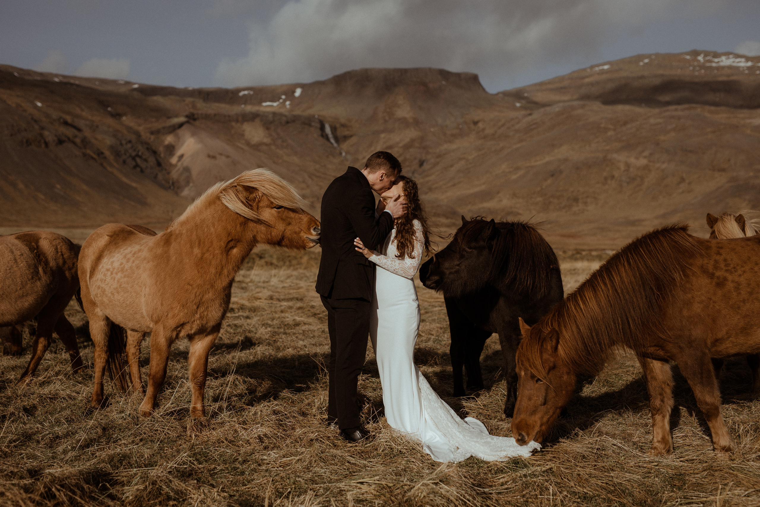 Scenic Fjords Elopement in Iceland. Iceland elopement photographer & videographer