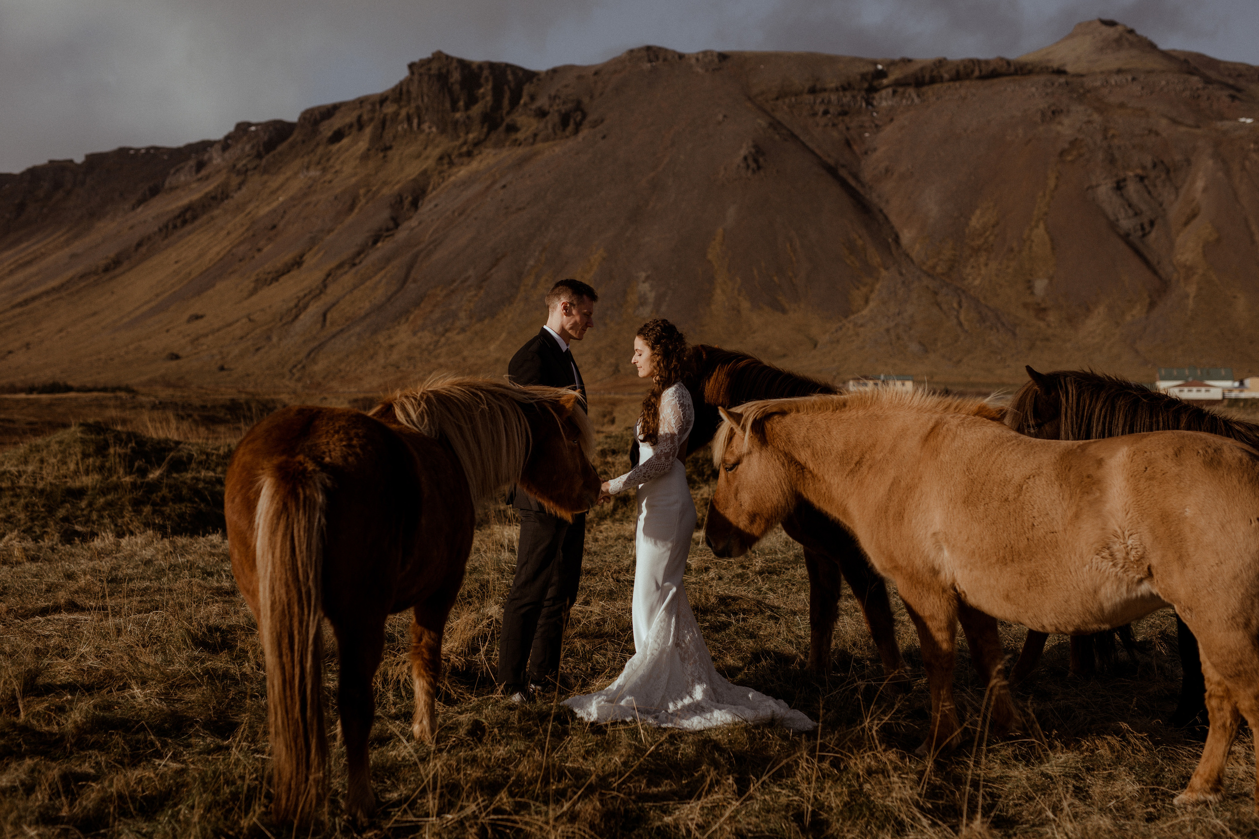 Scenic Fjords Elopement in Iceland. Iceland elopement photographer & videographer
