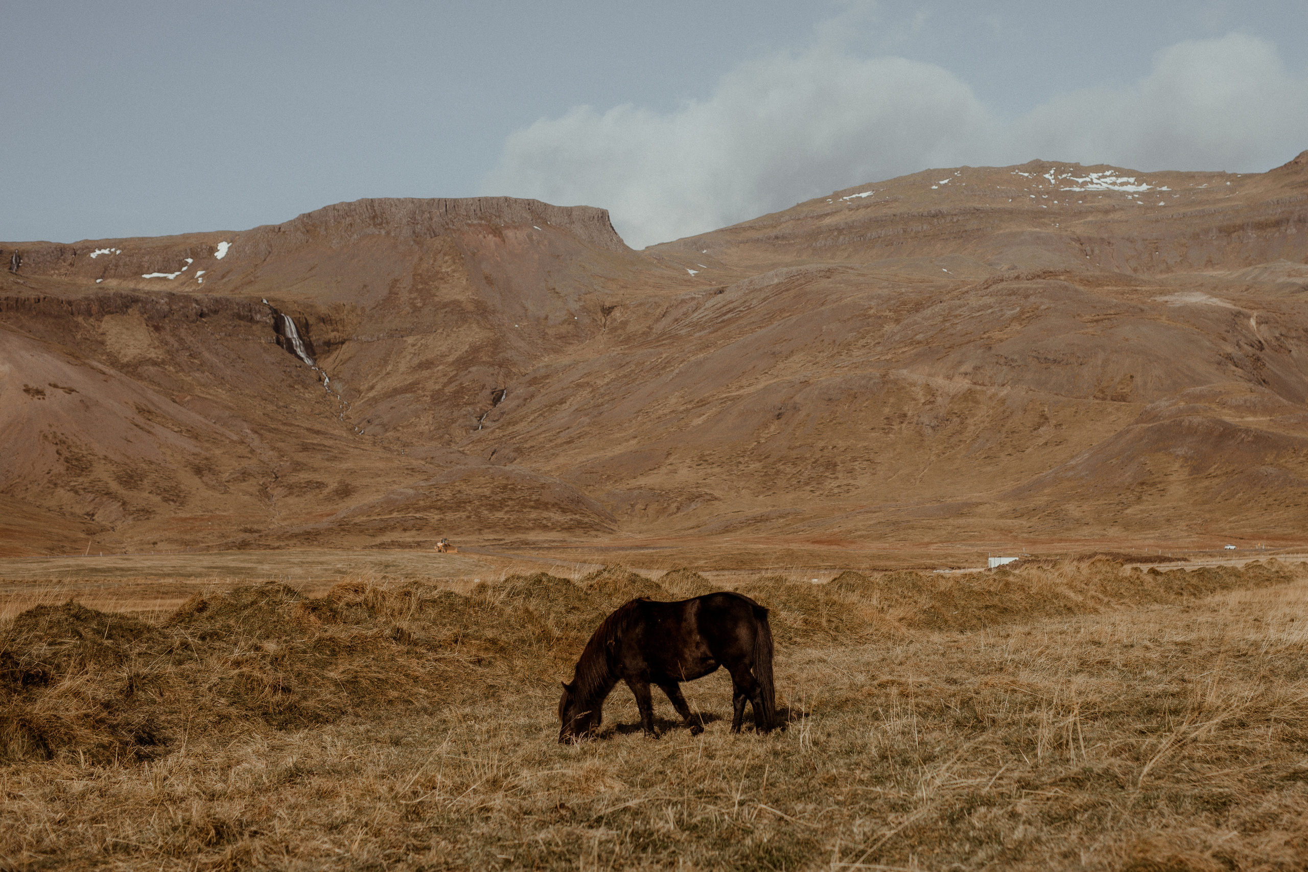 Scenic Fjords Elopement in Iceland. Iceland elopement photographer & videographer
