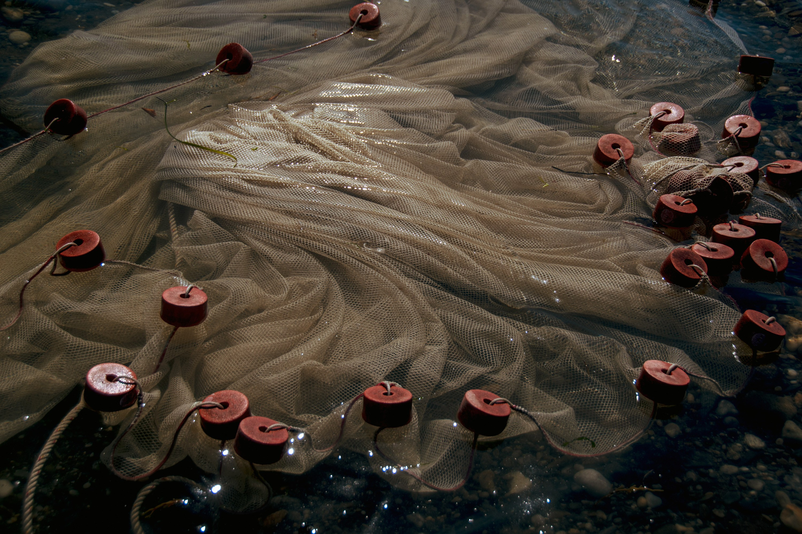 Обзор. Лило Даниелян | Visual artist