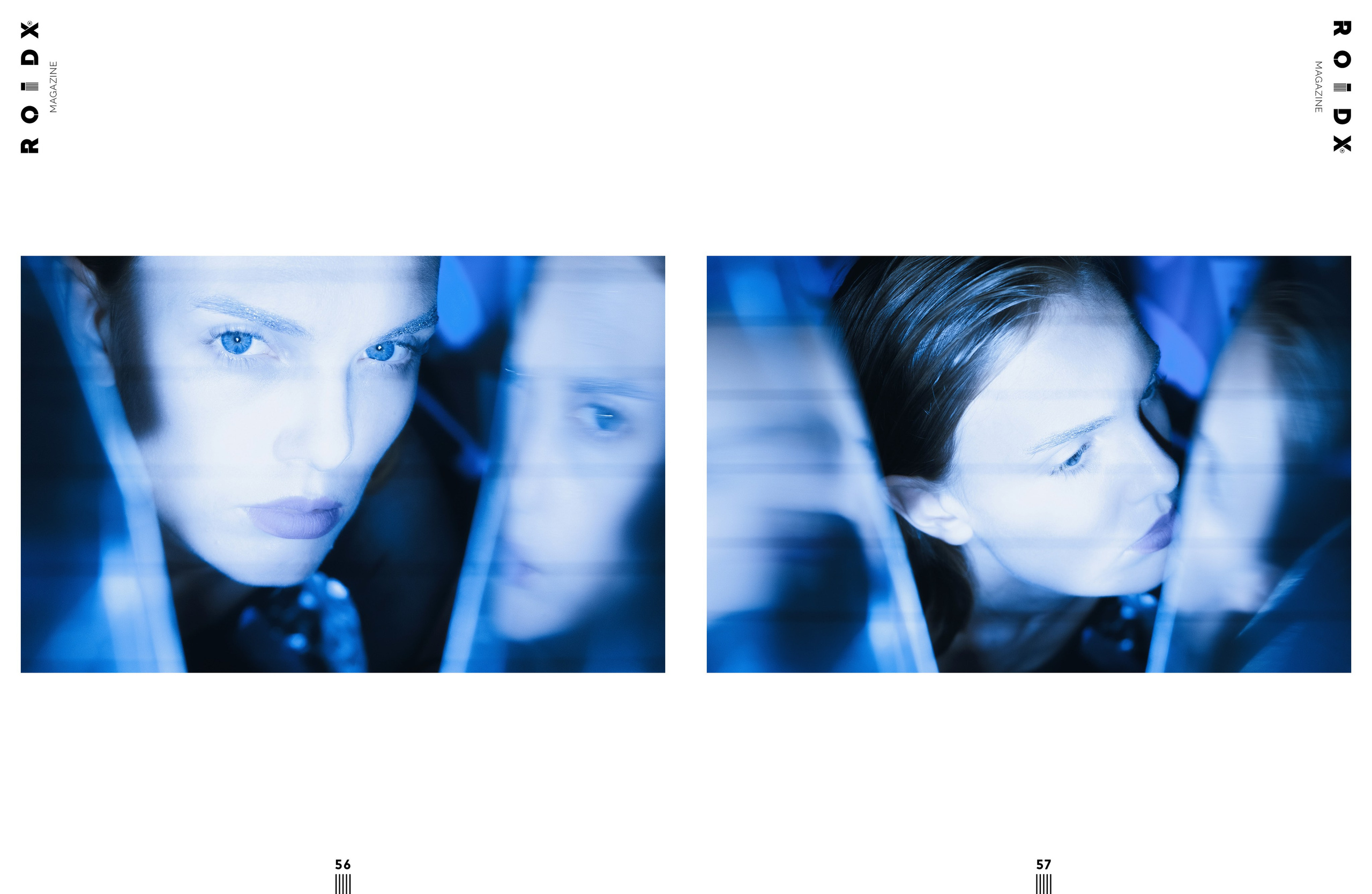 The best publications of the project R136a1