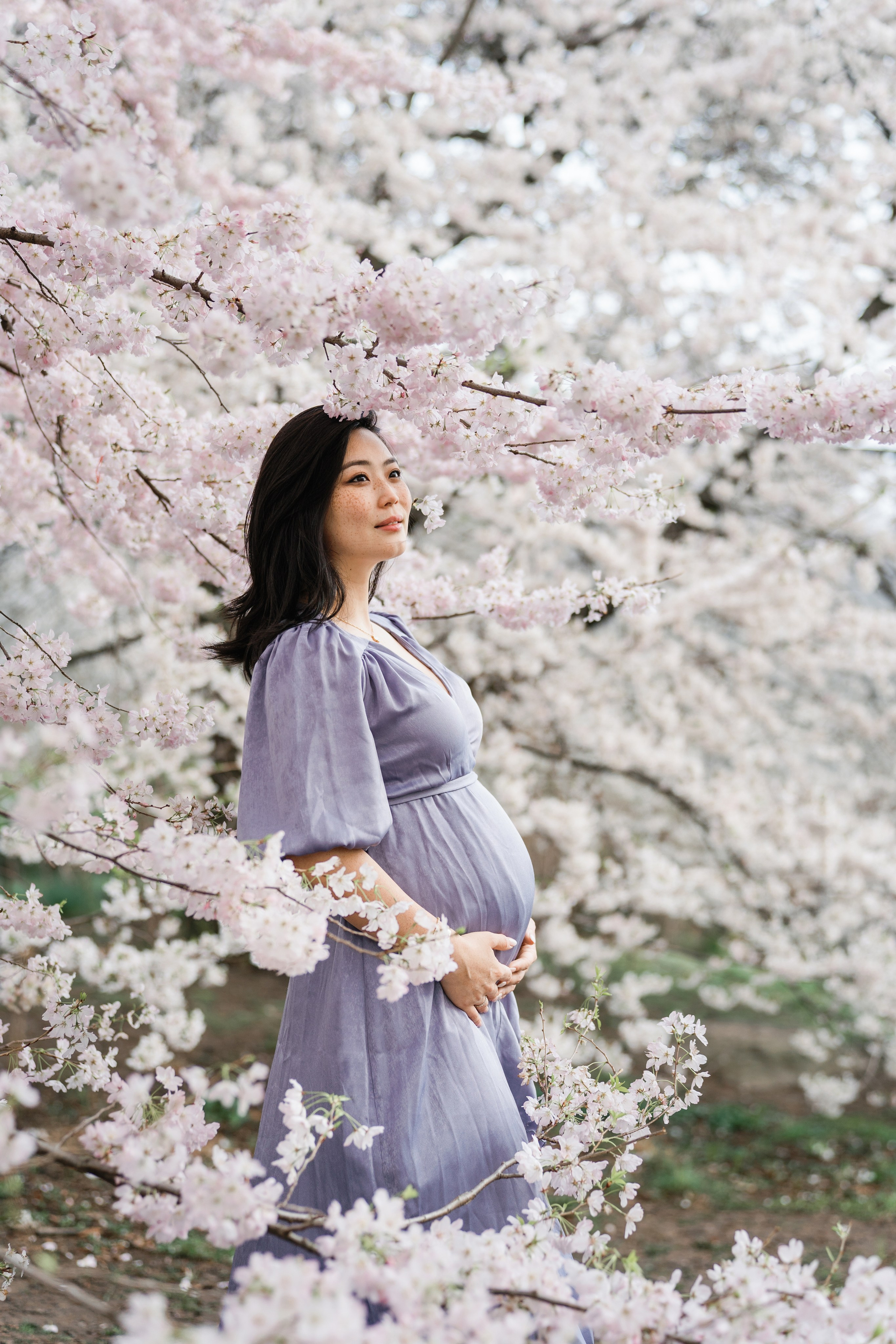 Sakura Photoshoot in New York. Photographer in New York Faery By Mary