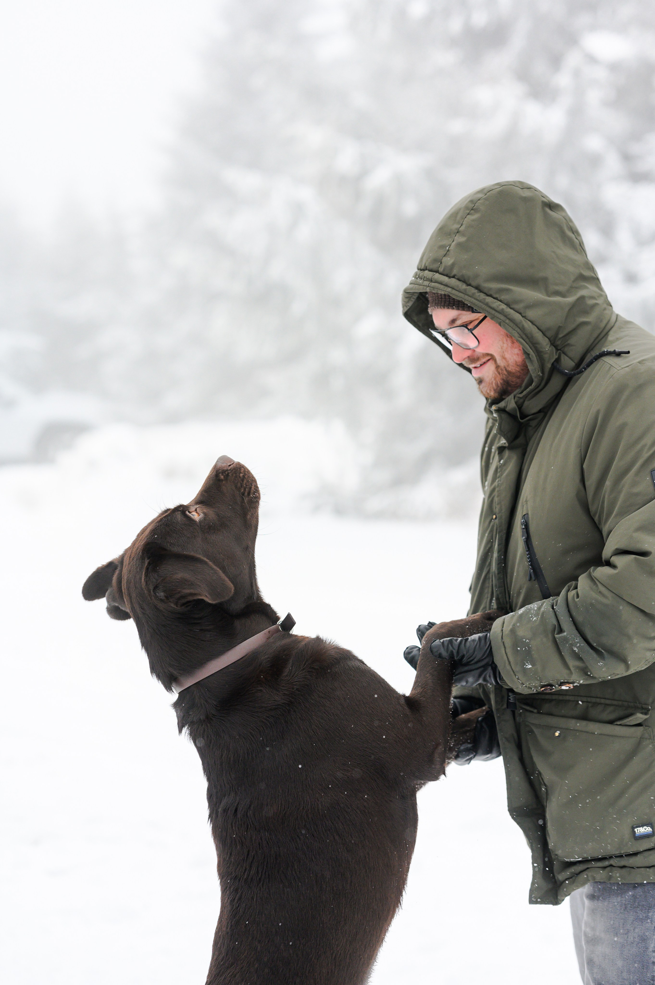 Unvergessliches Winter-Hundeshooting im Erzgebirge. RawPeek