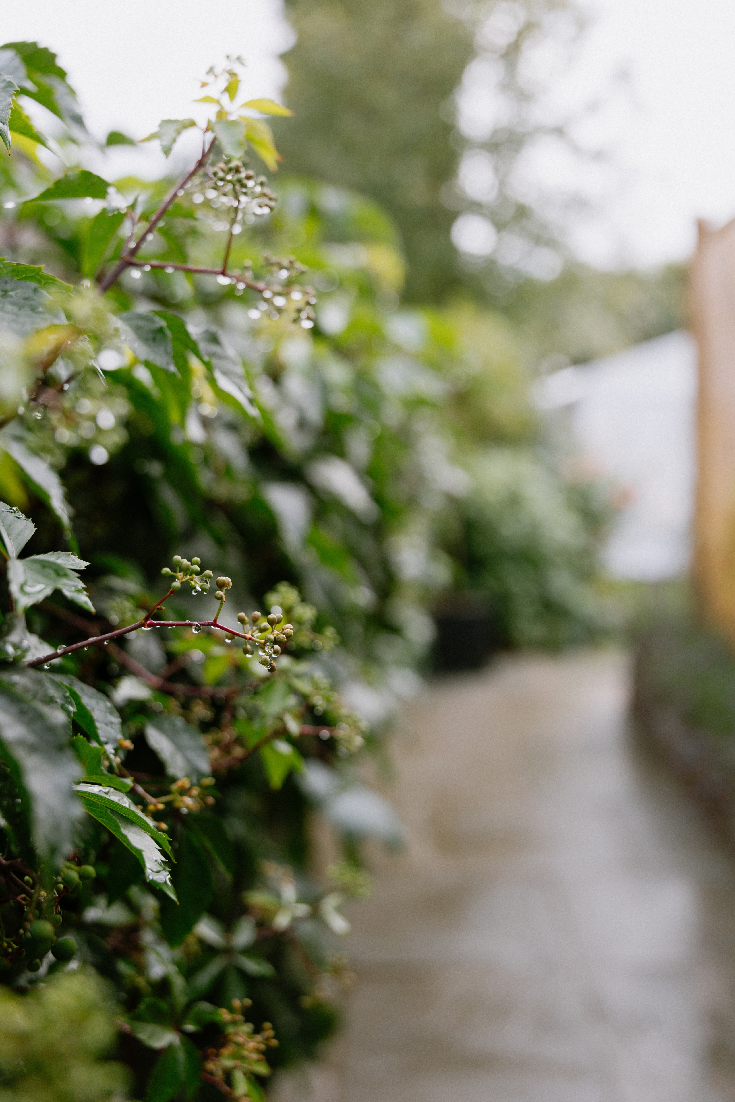 Intimate and emotional wedding. Timeless Wedding & Event Photography from London to the world