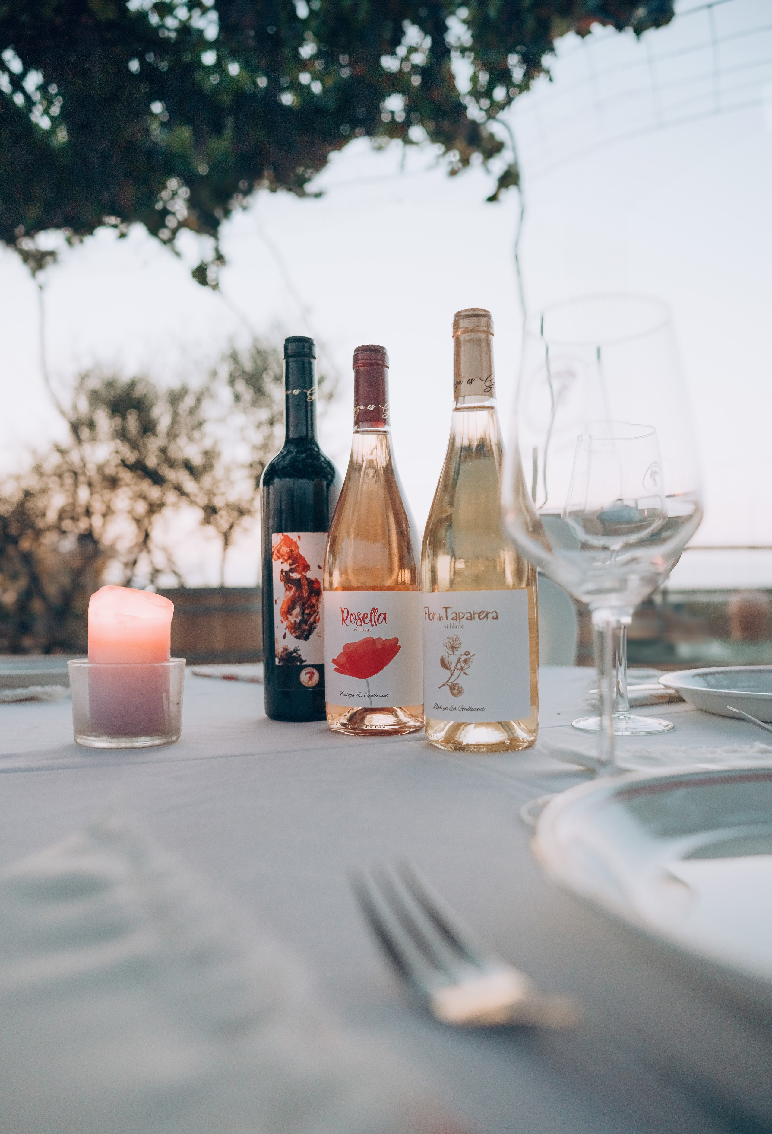 Bodega. Photographer in Mallorca