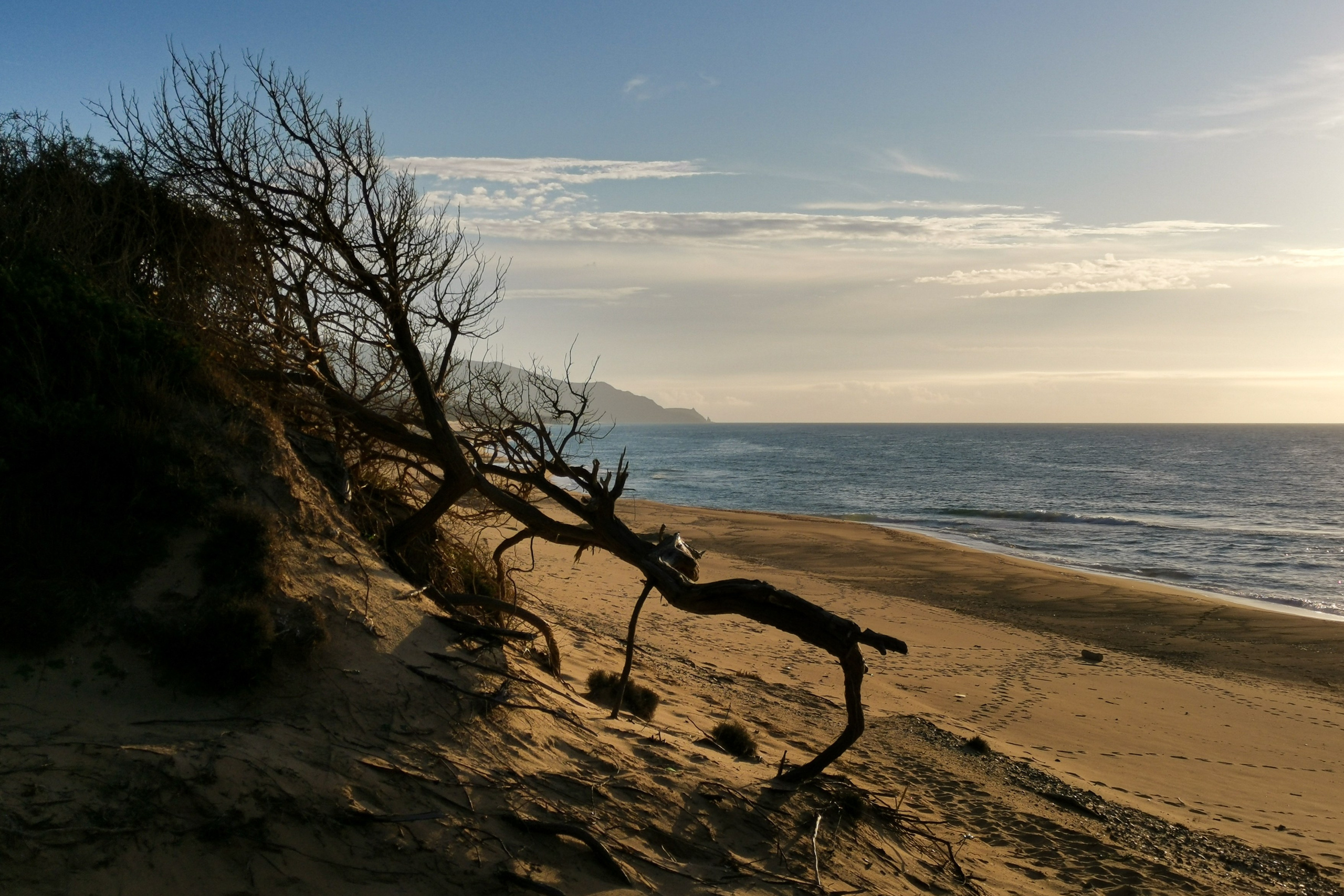 Paesaggi. Olga Manukhina fotografo in Sardegna