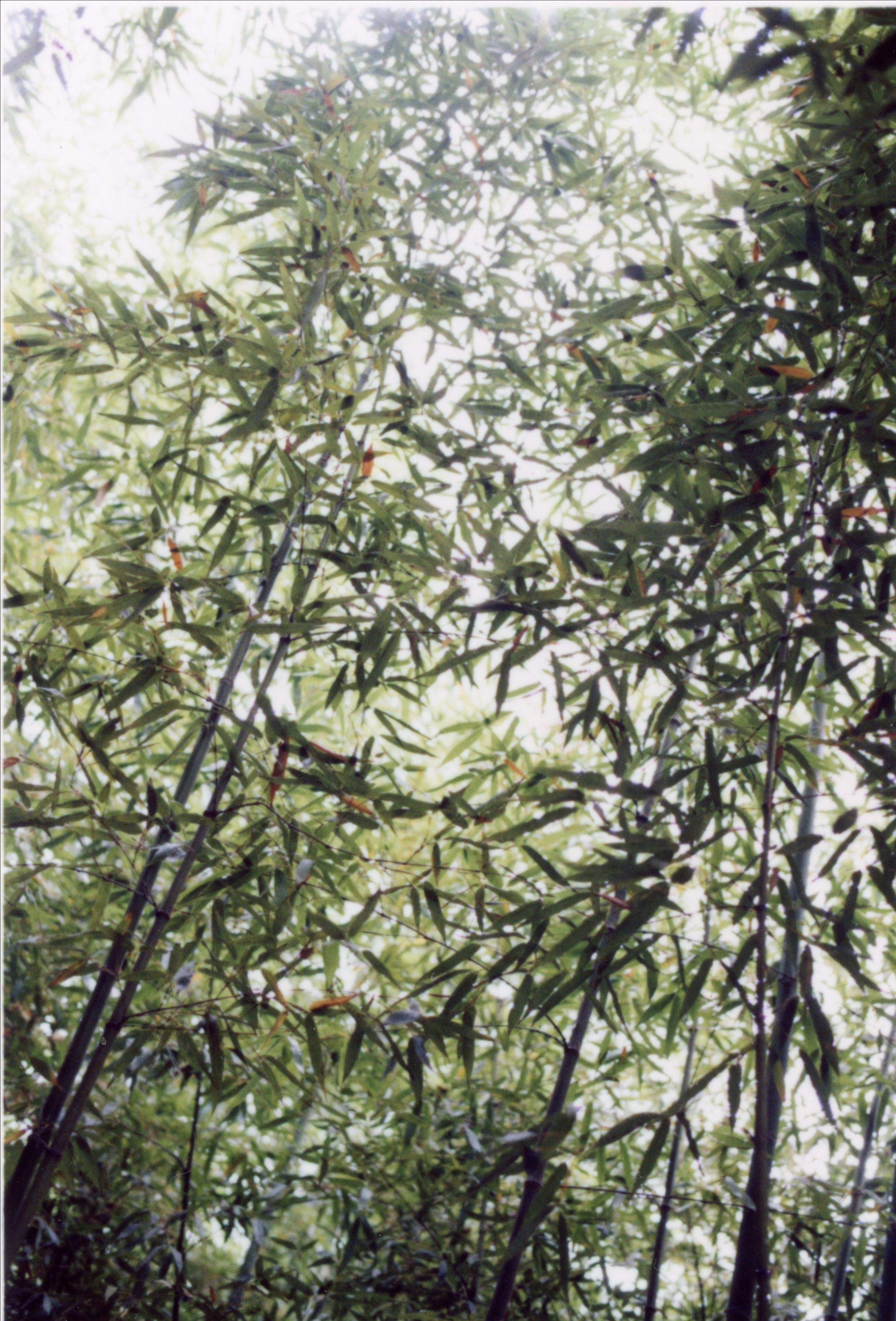 GS F/W 2021. Aura Studio / co-design space