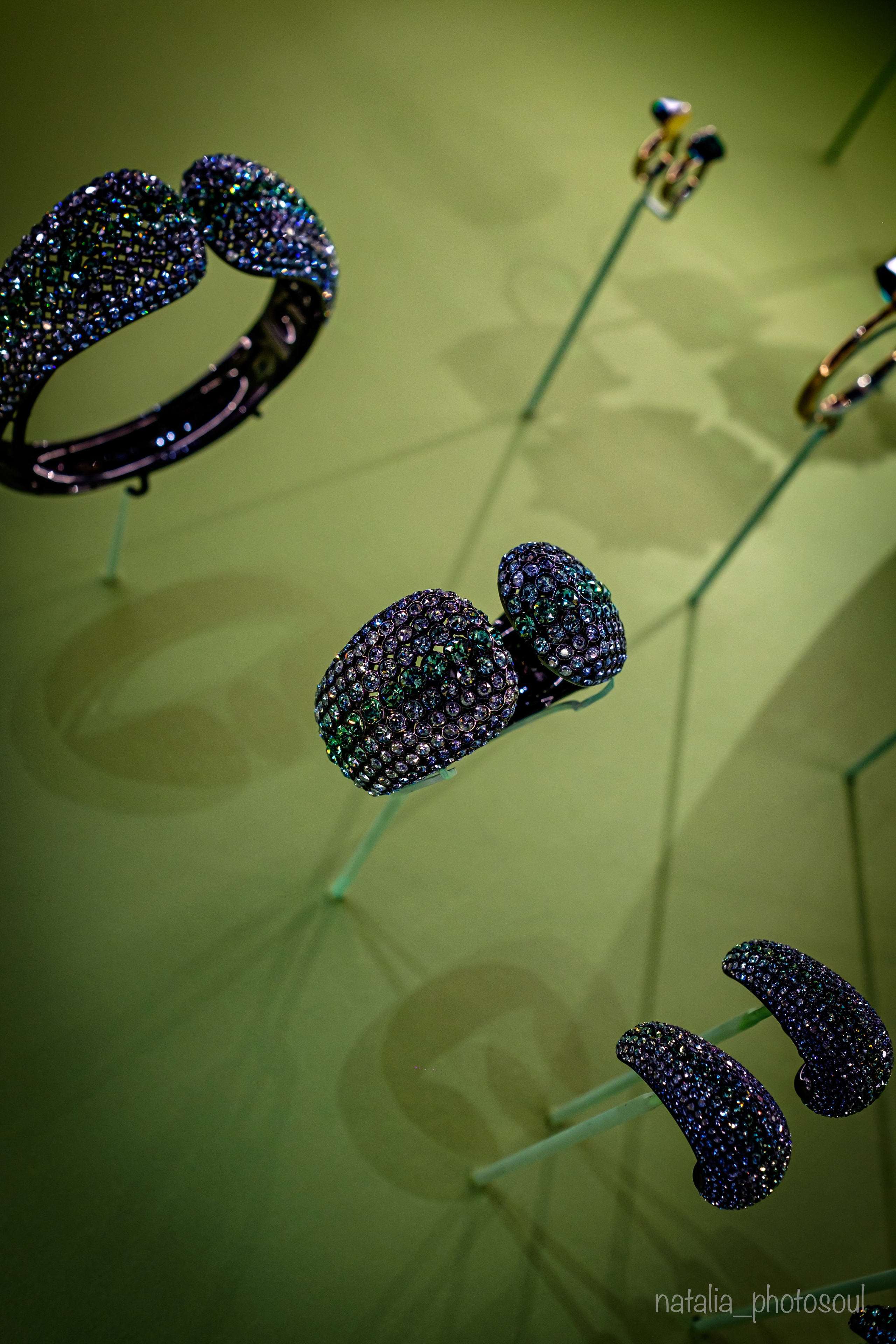 SWAROVSKI MASTERS OF LIGHT FROM VIENNA TO SEOUL. Photographer in Seoul Dobrokvashina Natalya