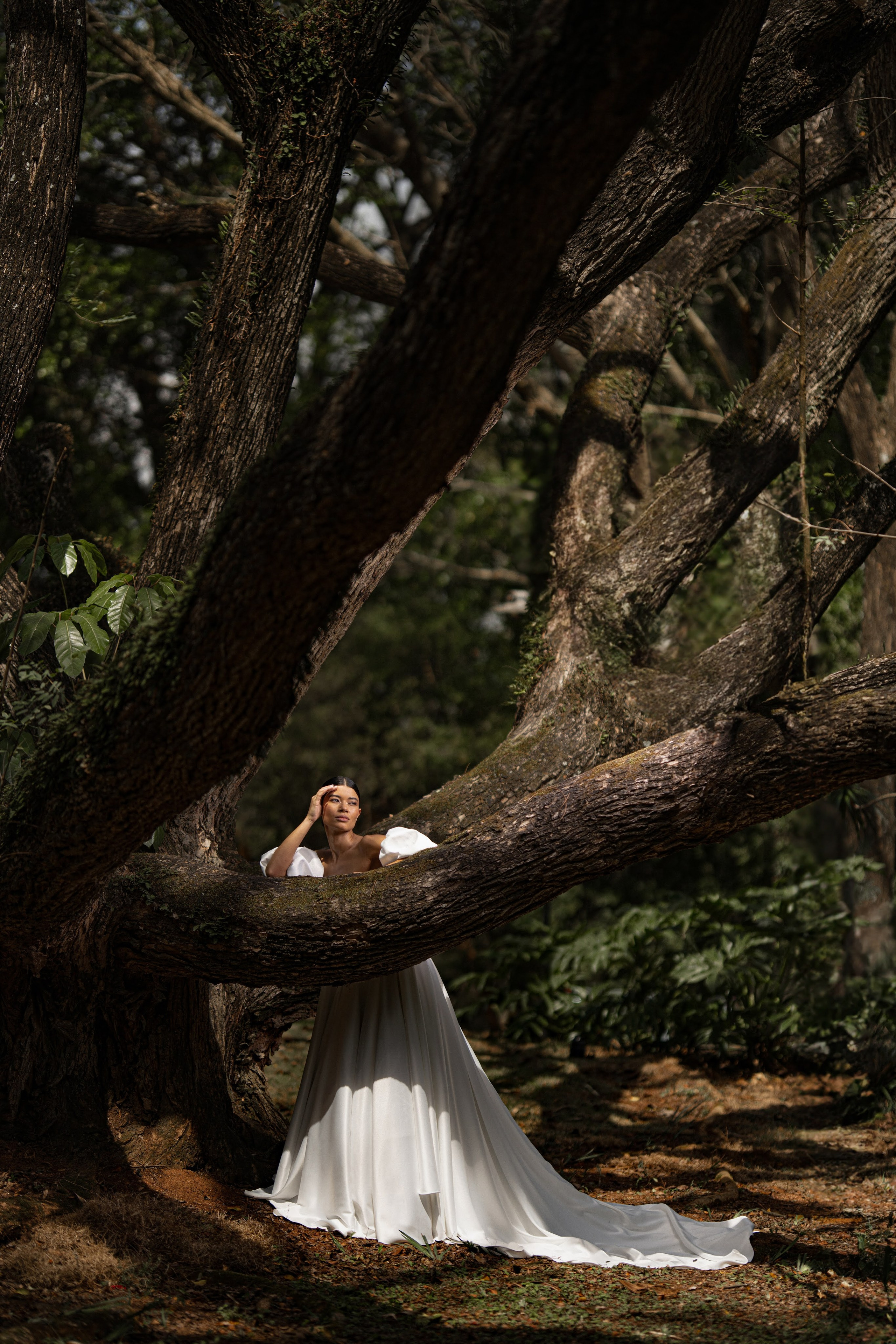 Fotógrafo de Casamento, grávida, Retrato, Corporativo