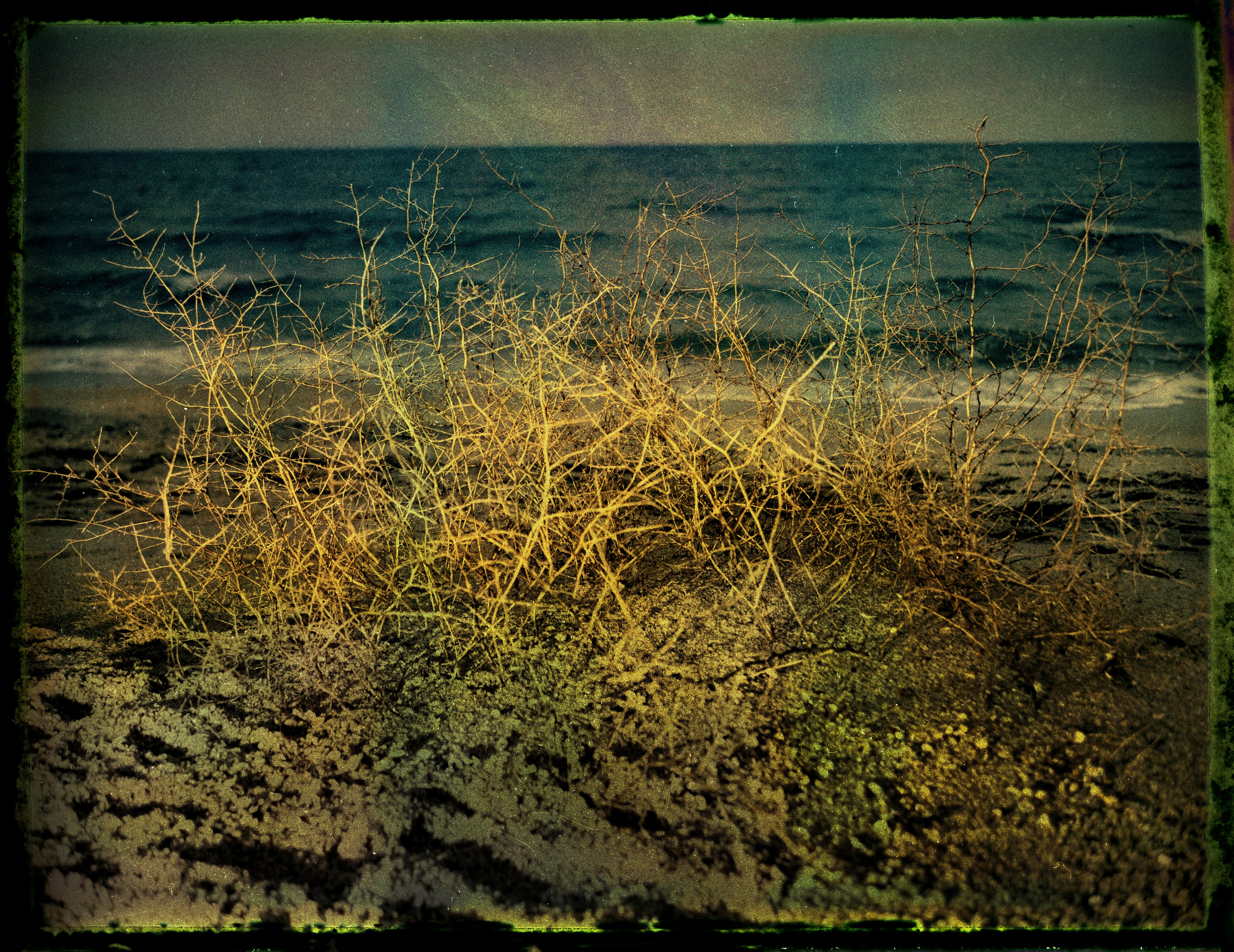 POLAROID. Www.sananaleskerov.com