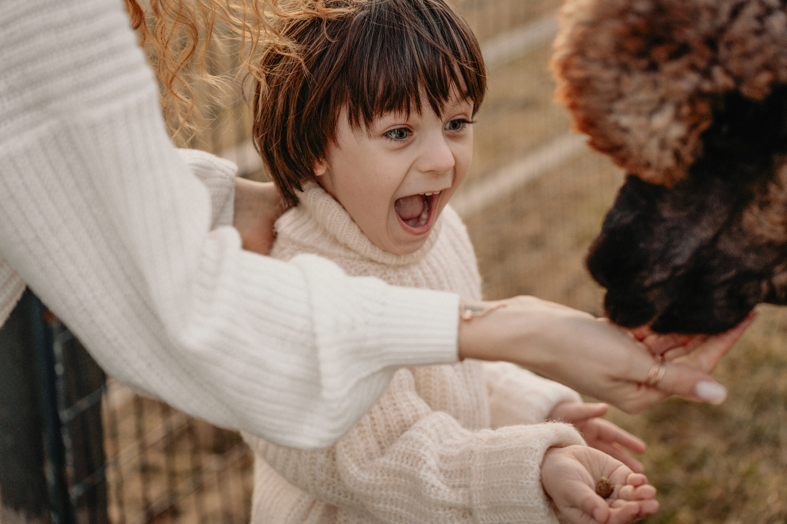 Unique Family Photography at an Alpaca Farm – Fun & Playful. Alisa Tant — Family and newborn photographer Bucks County, Montgomery county, Philadelphia, NJ