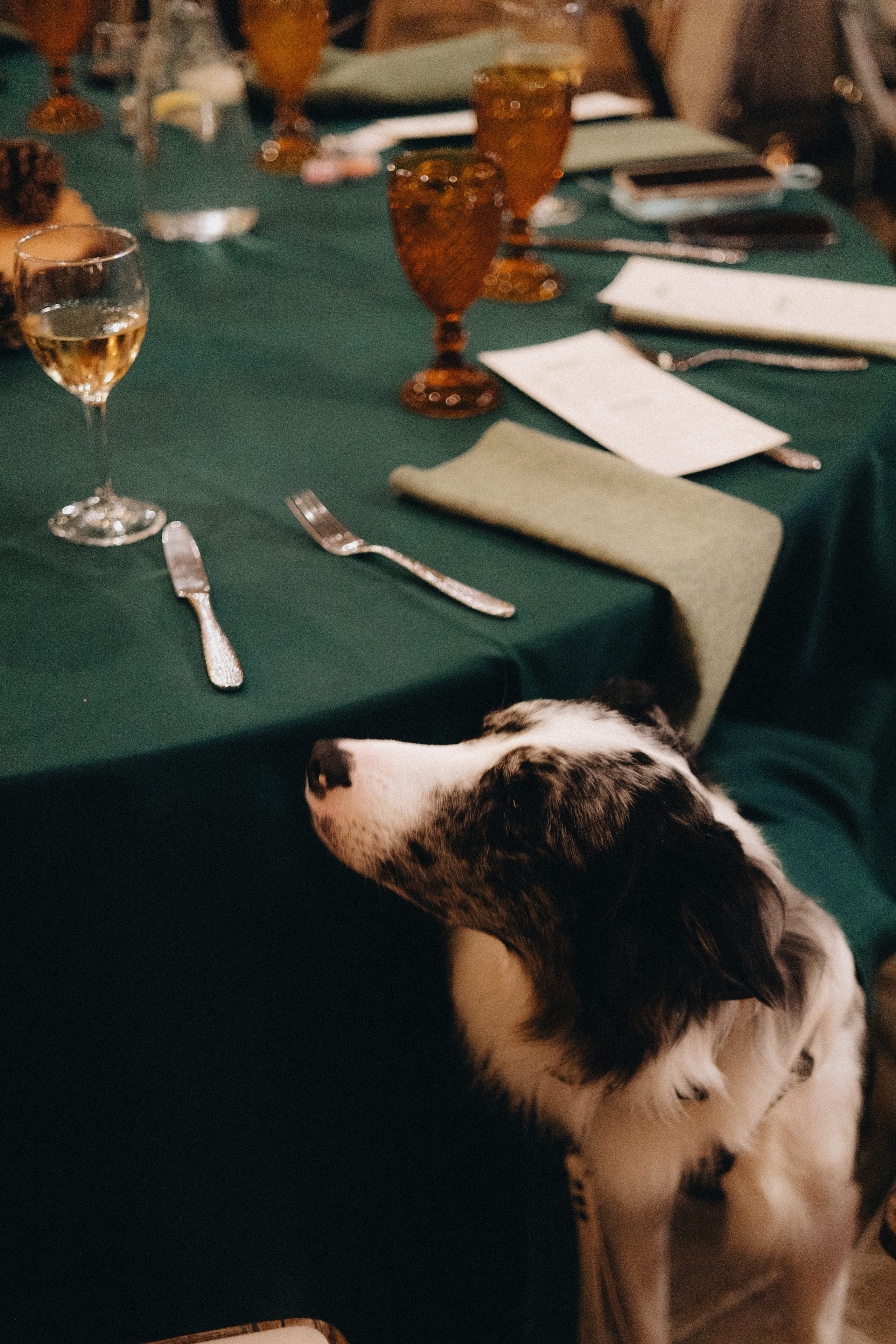 Wedding Photography at Portland Oregon | Jessie & Isaac's Session by Georgy Shishkin | Capturing Moments in Portland, Seattle, Bend & Oregon. Capturing Love in the Heart of the Pacific Northwes