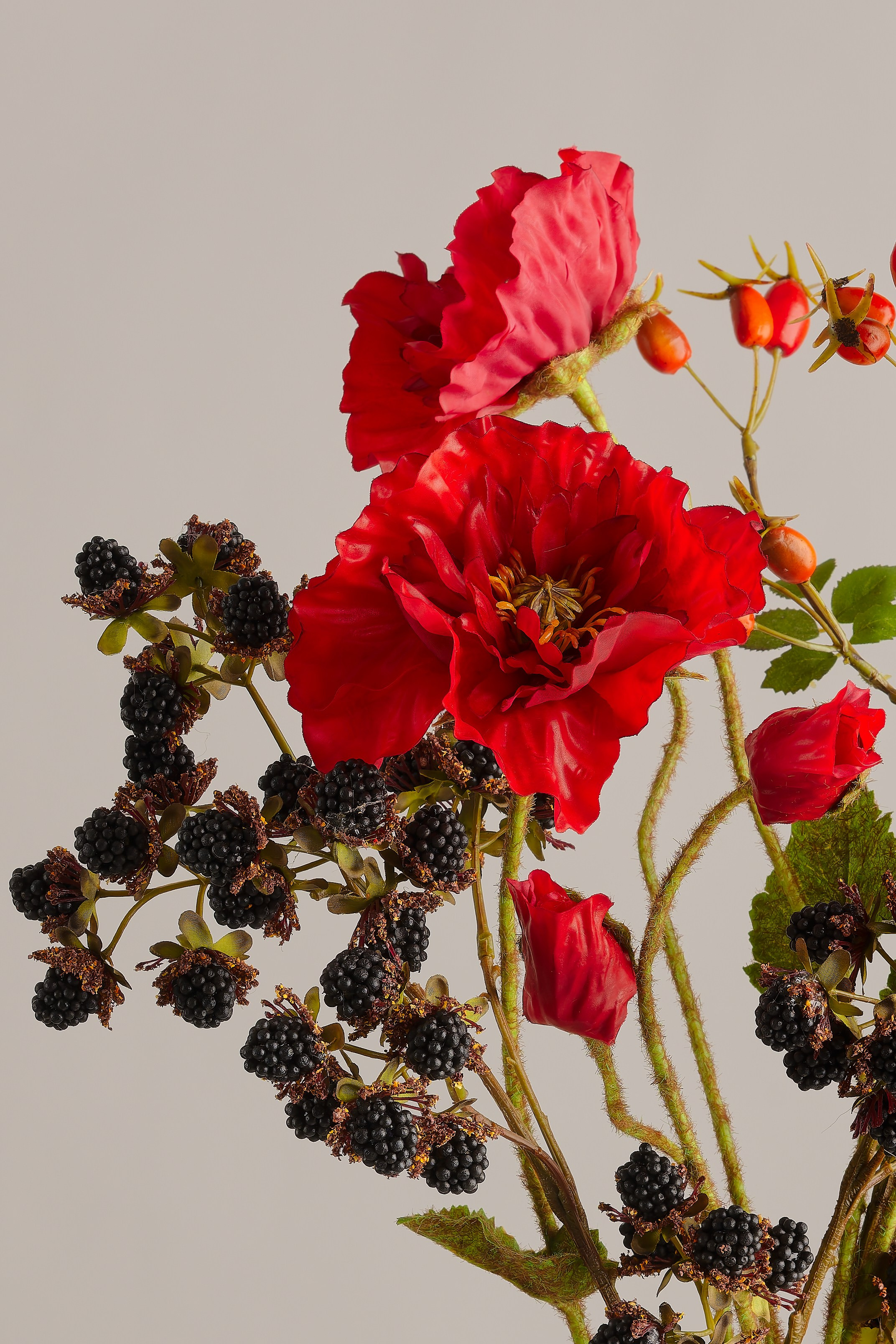 Detailaufnahme Blumenfotografie Wien – Nahaufnahme von roten Blüten mit schwarzen Beeren.