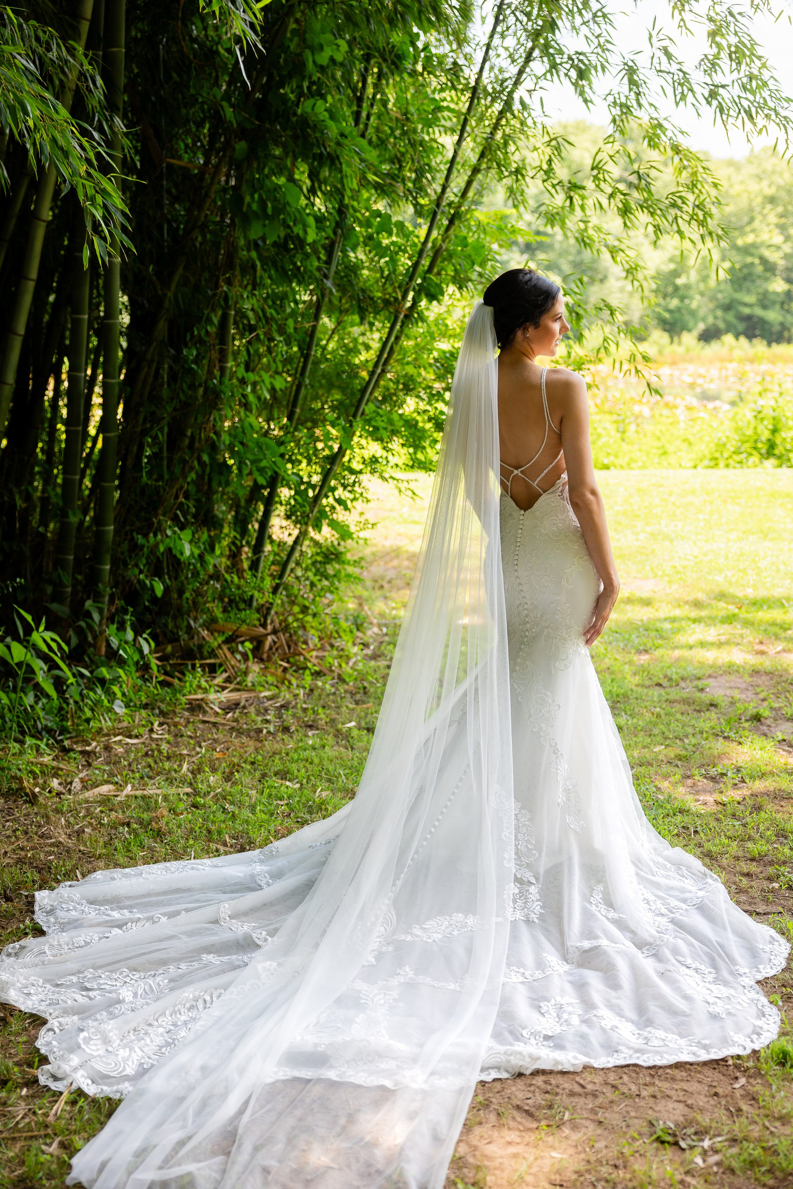 Jacob and Emma: A Wedding at Deerwoode Reserve, Brevard North Carolina. Wedding and portrait photography in Greenville SC