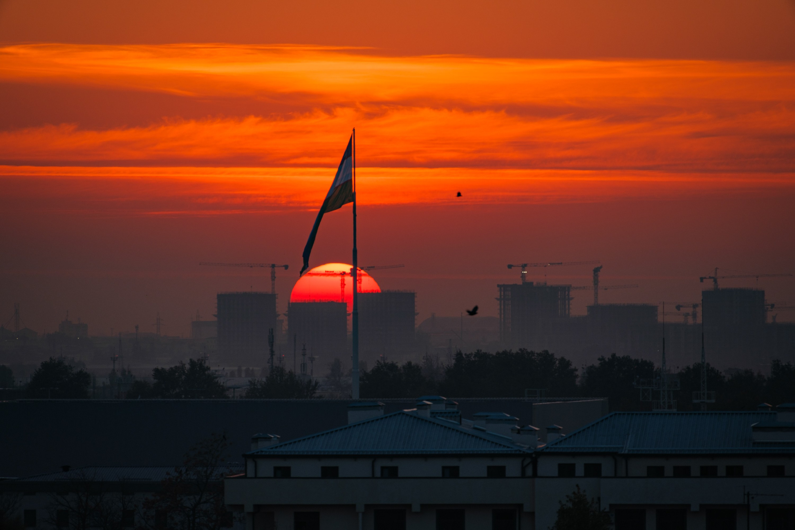 Обзор на объектив 16-300мм Sigma. Личные впечатления и опыт использования. Фотограф Григорий Кравец