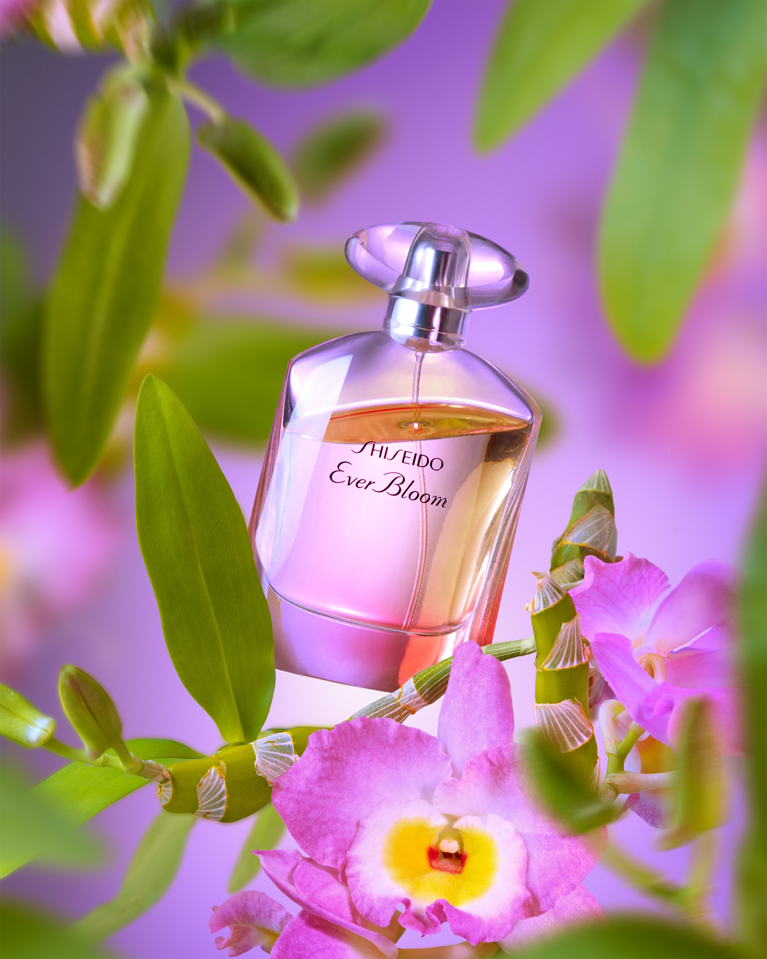 Styling & Composition. ContentLab — визуальный контент для бизнеса |📍Рига