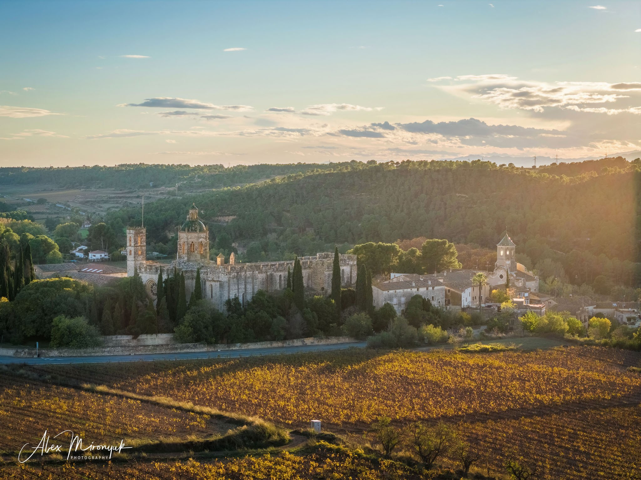 Catalonian Medieval Castles. Pet, Senior, Landscape, portrait studio, photographer in Miami and Sou