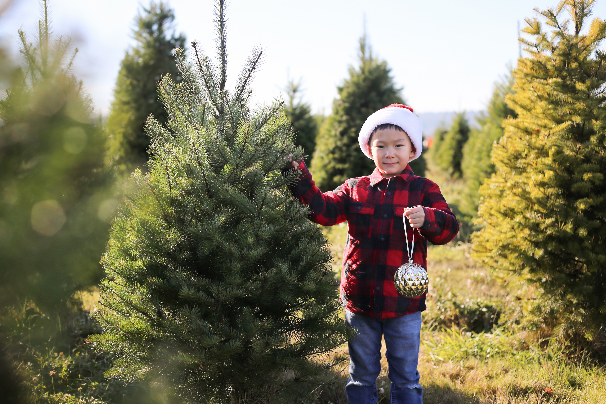 YuAnna studio. Family & Kids Photographer in Seattle area, located in