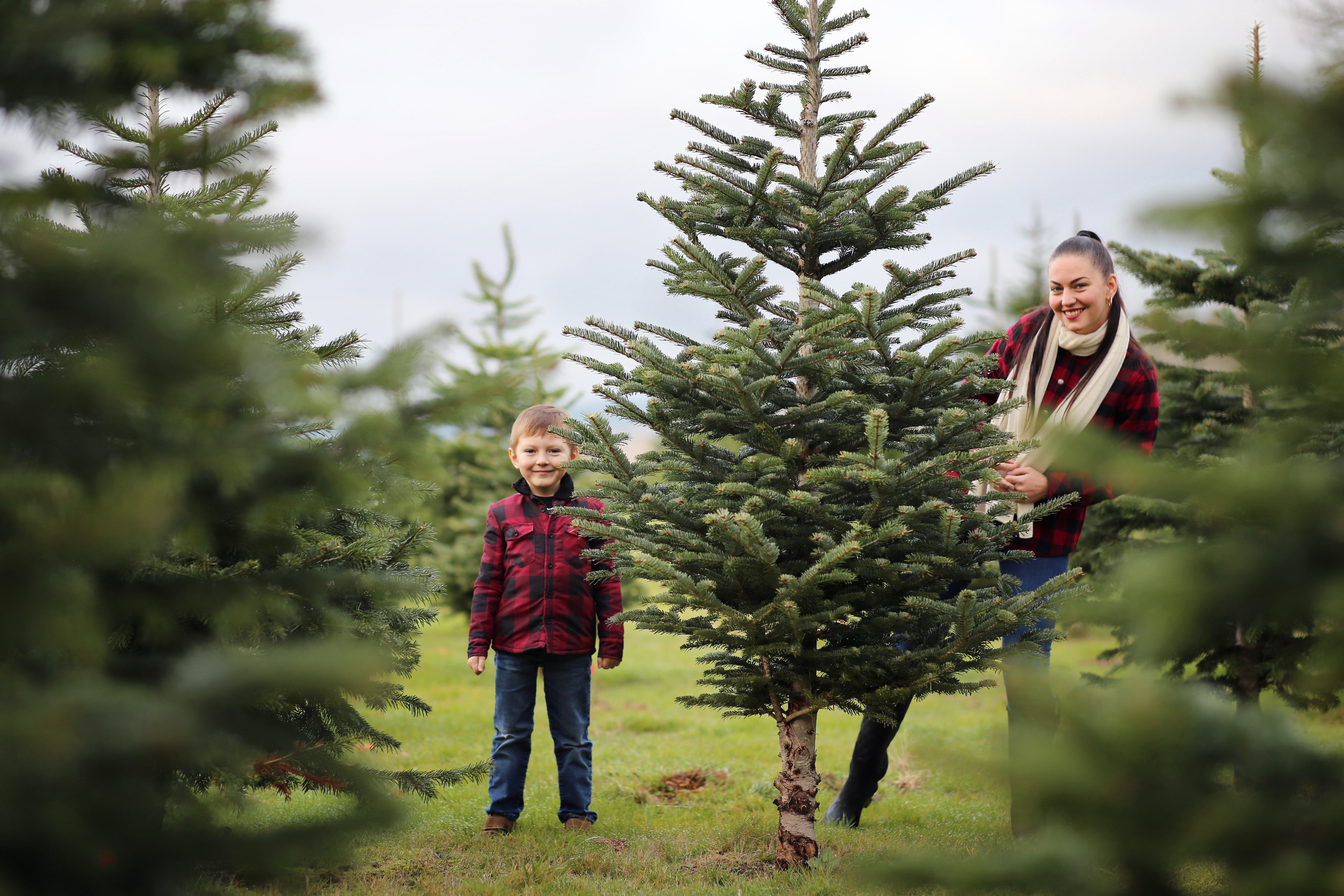 YuAnna studio. Family & Kids Photographer in Seattle area, located in