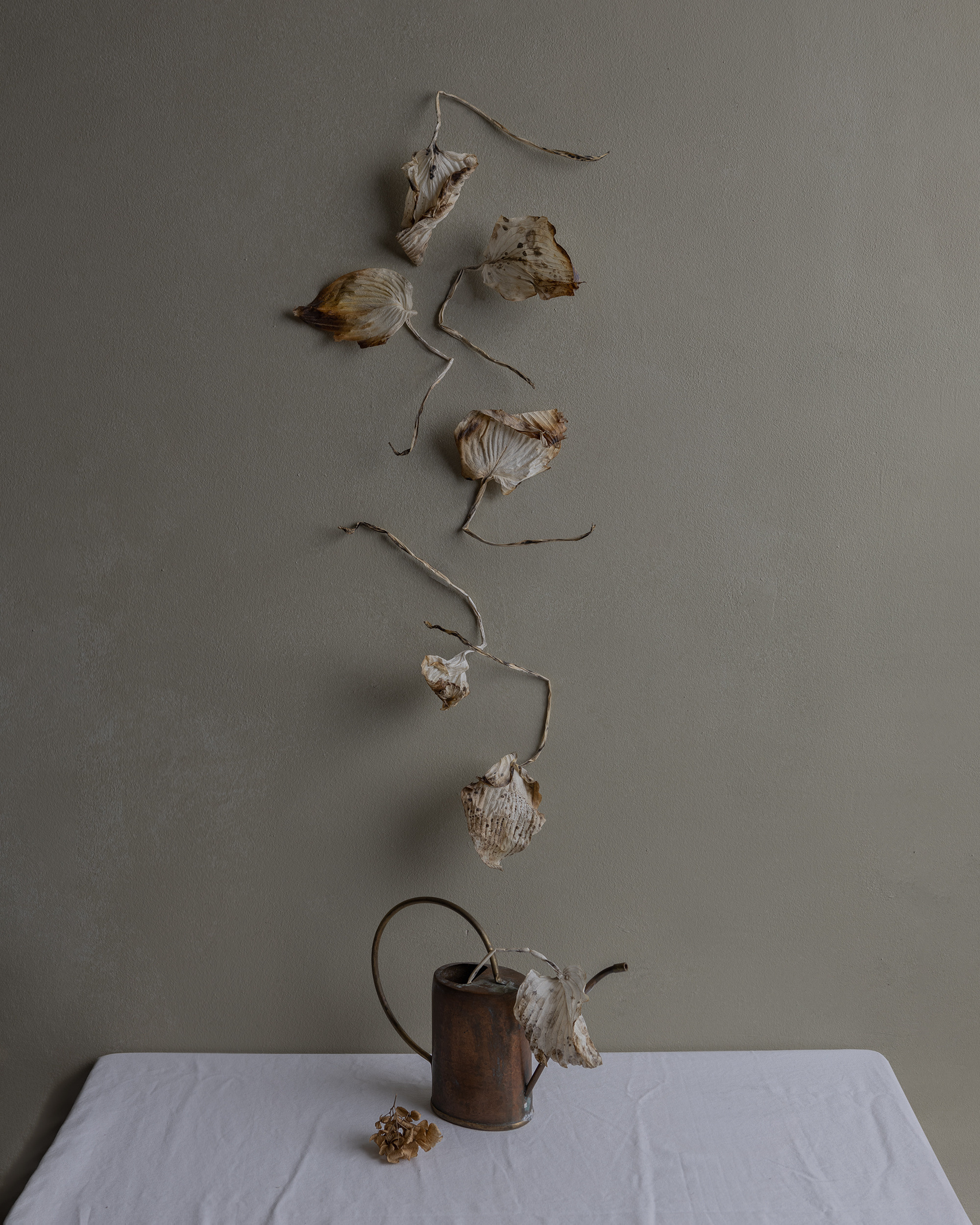 STILL-LIFE. Marina Eng. Art Photographer. New York