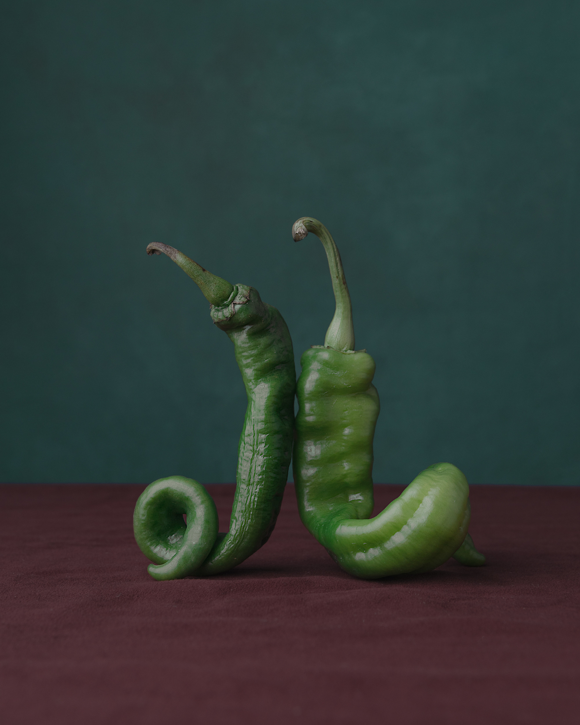 STILL-LIFE. Marina Eng. Art Photographer. New York