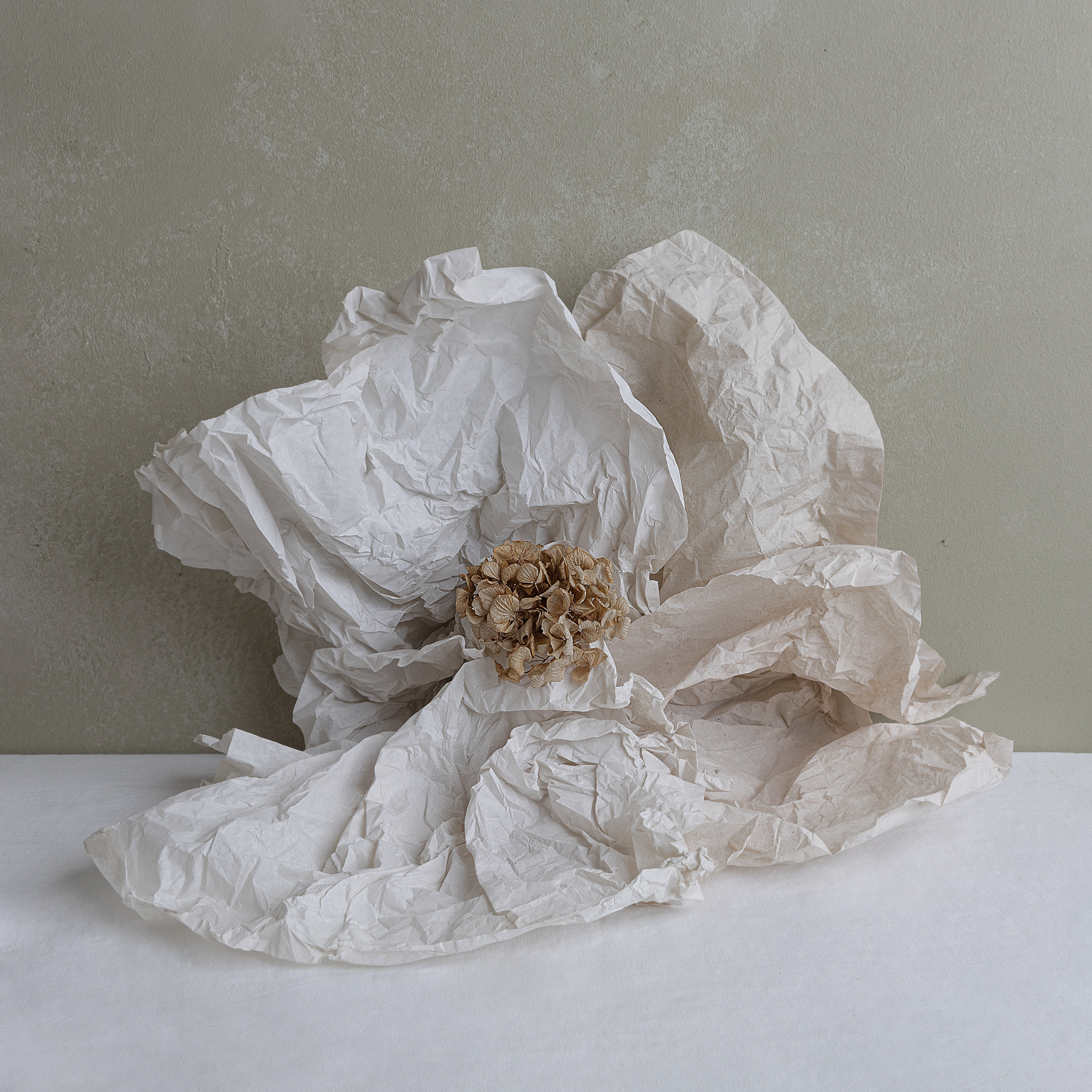 STILL-LIFE. Marina Eng. Art Photographer. New York