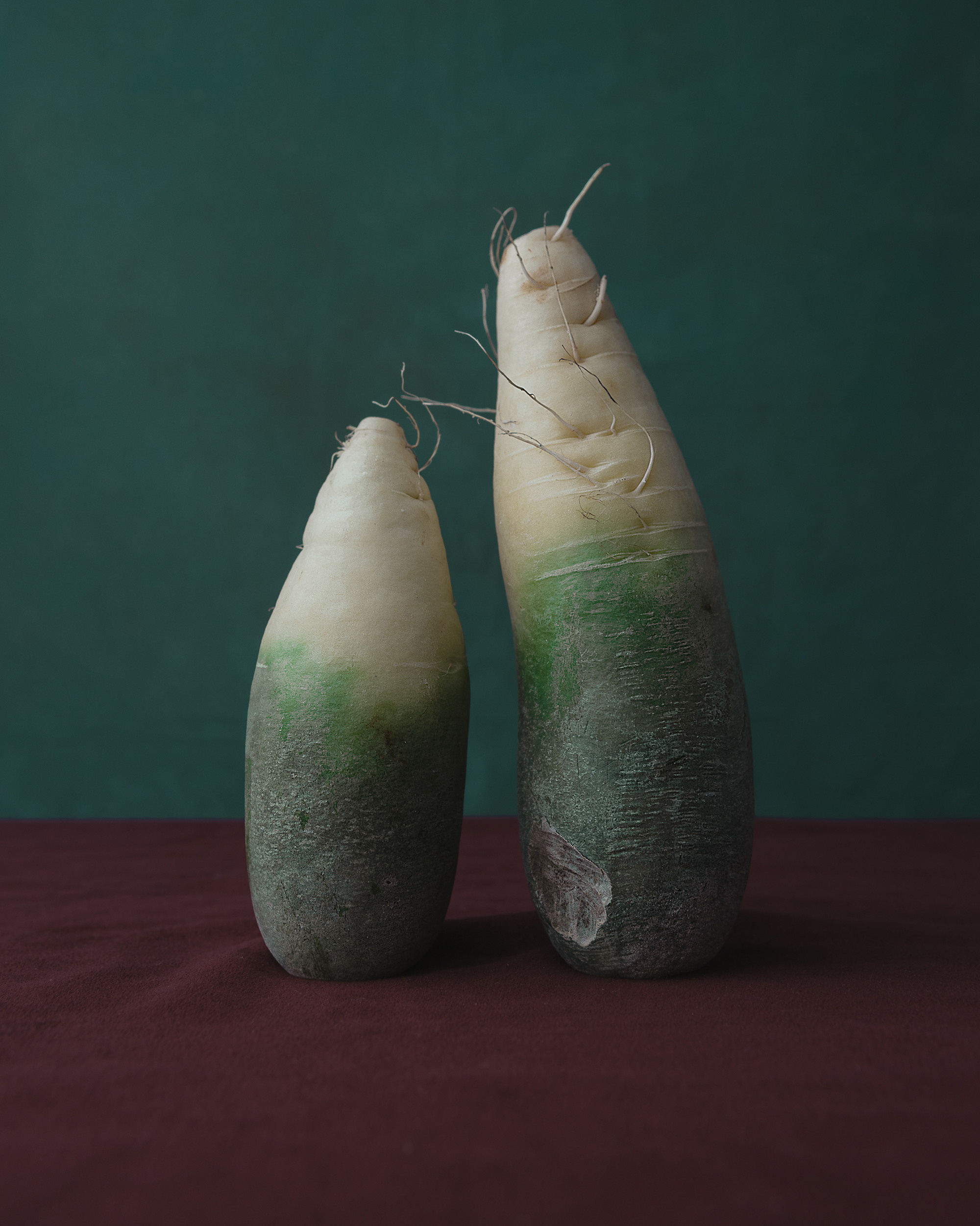 STILL-LIFE. Marina Eng. Art Photographer. New York