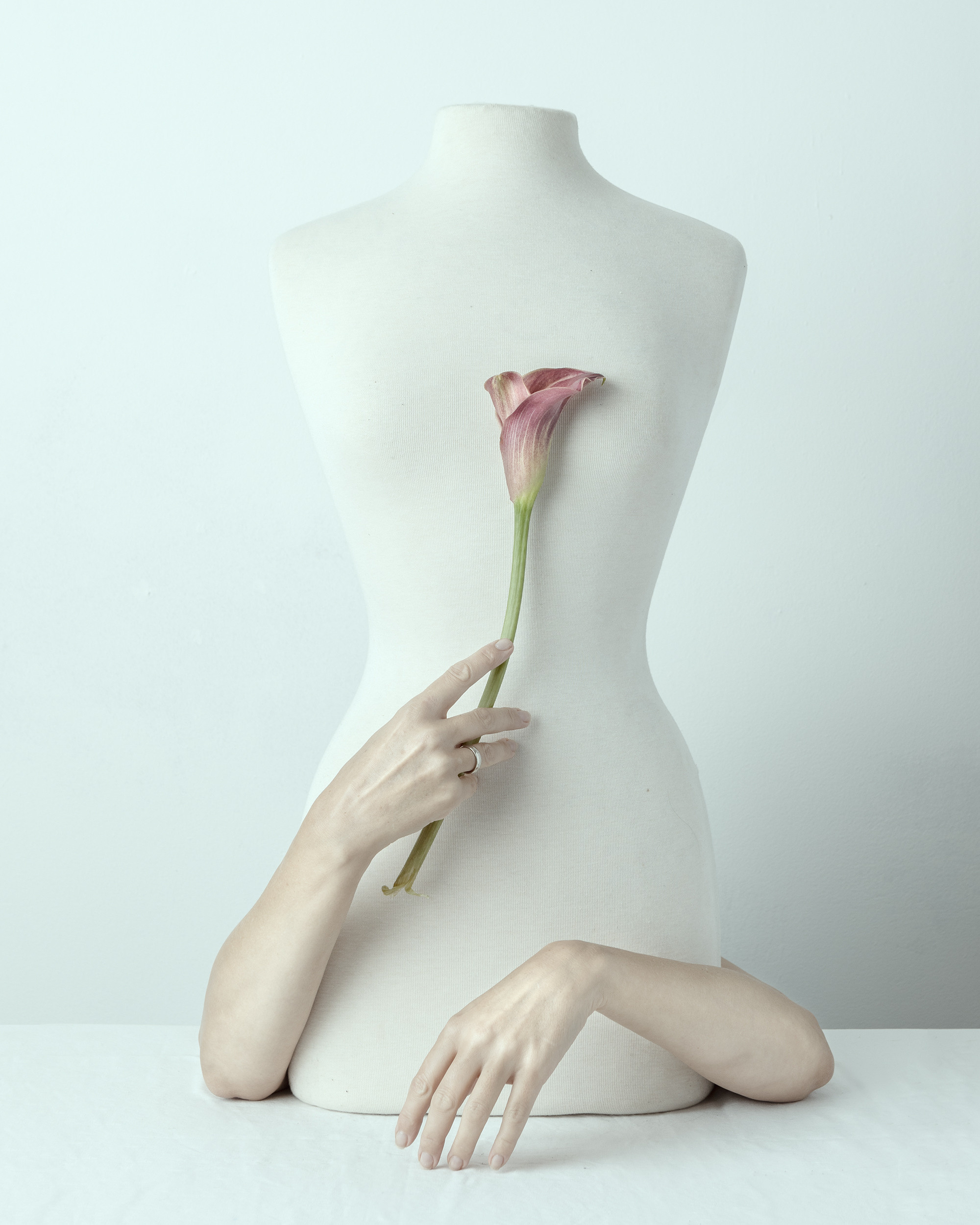 STILL-LIFE. Marina Eng. Art Photographer. New York