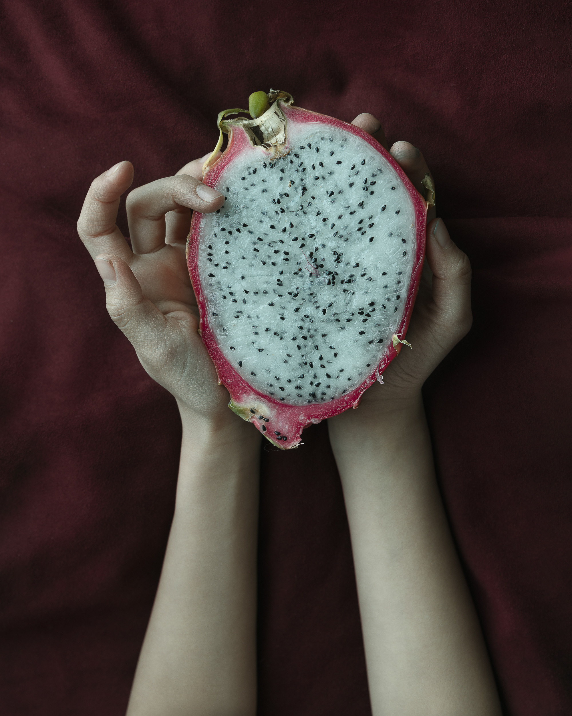 STILL-LIFE. Marina Eng. Art Photographer. New York