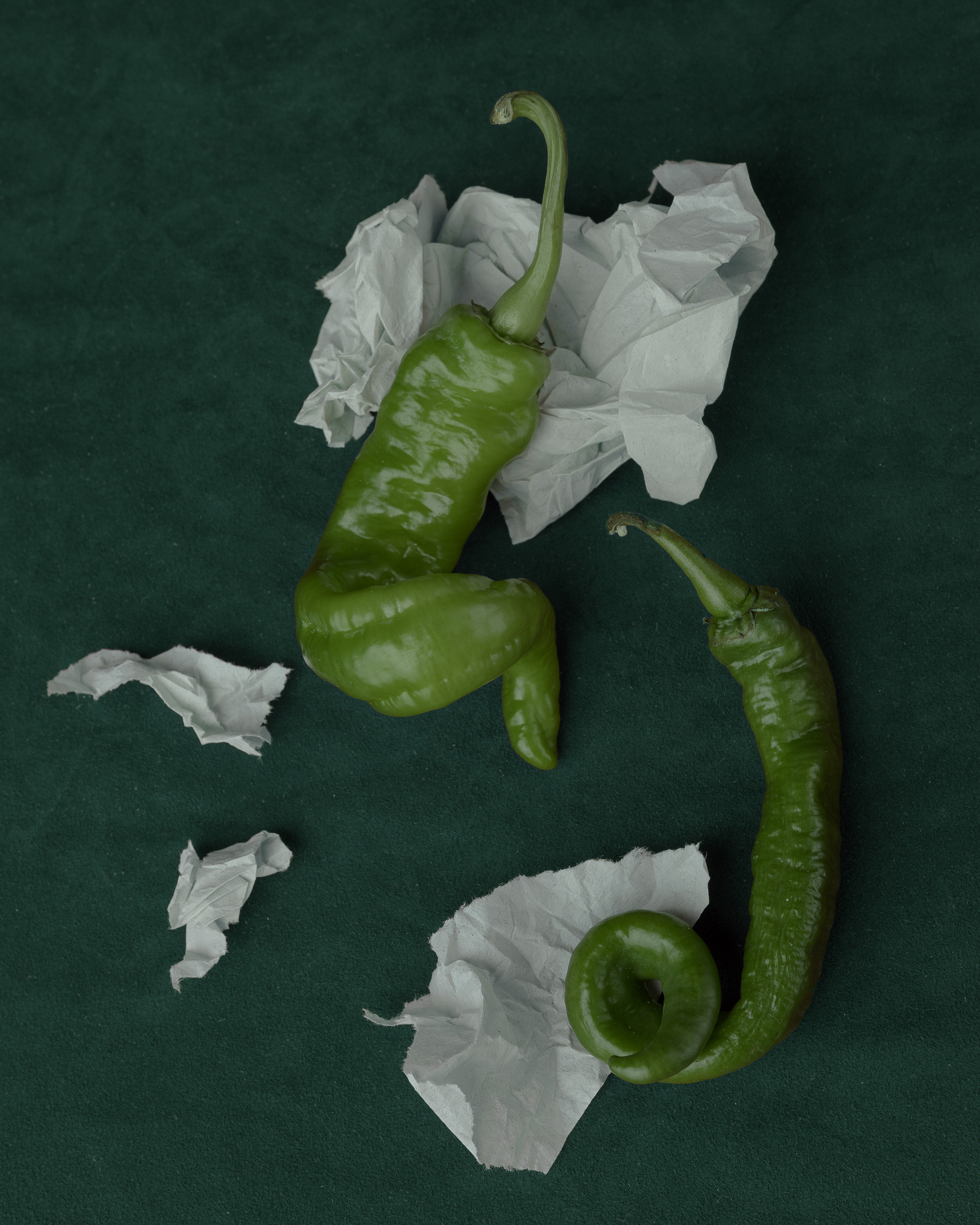 STILL-LIFE. Marina Eng. Art Photographer. New York