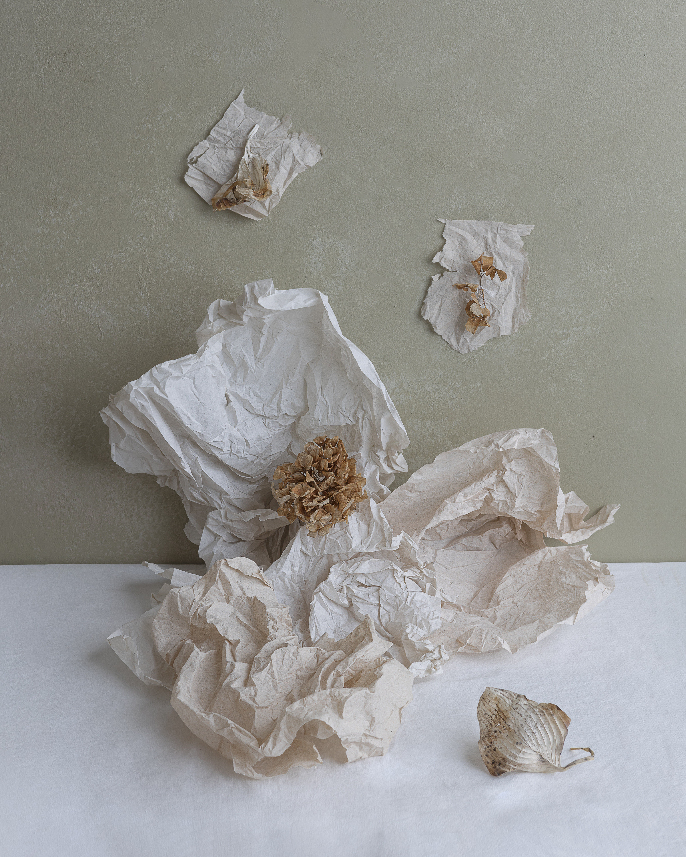 STILL-LIFE. Marina Eng. Art Photographer. New York